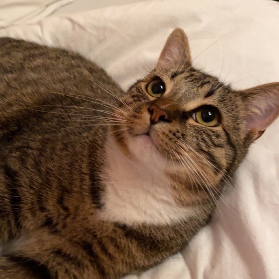 Leroy
