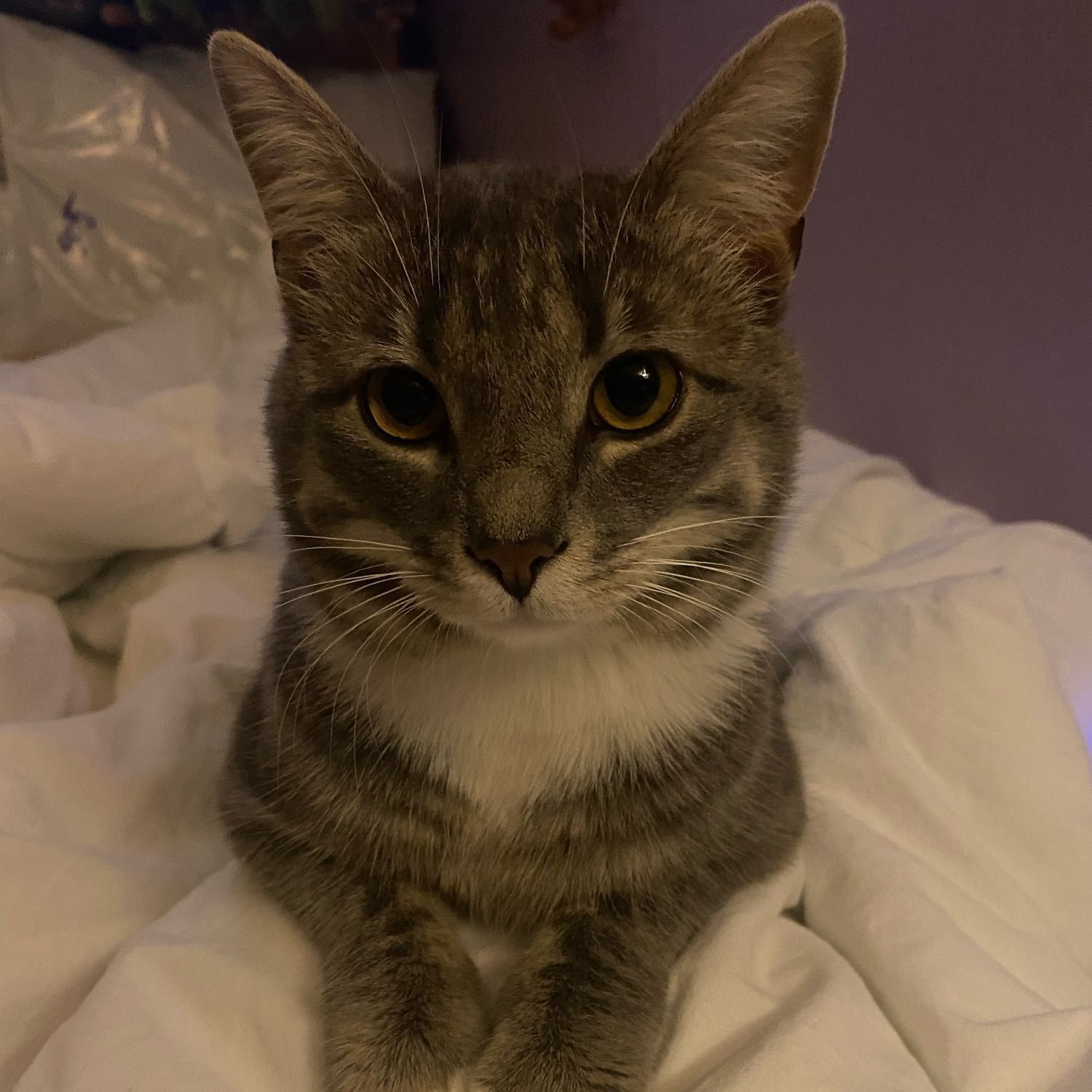Marcel