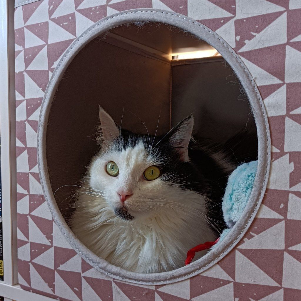 Yuki