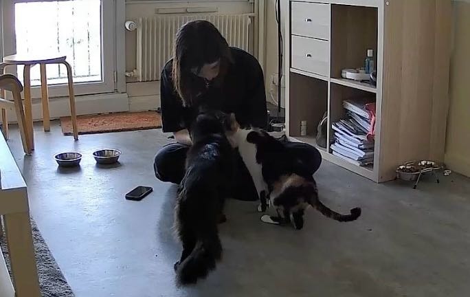 image-3