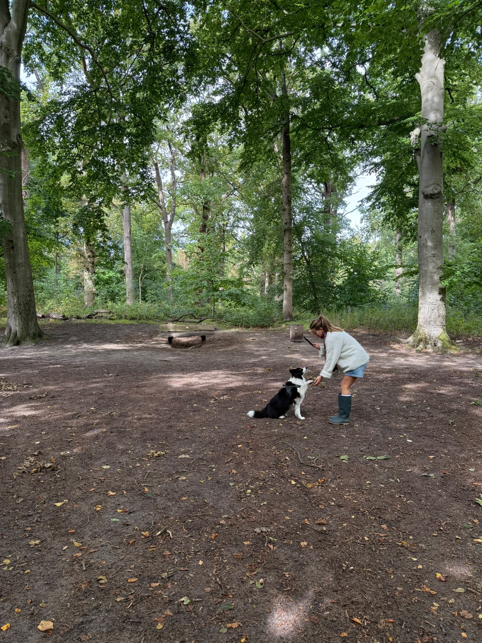 image-3