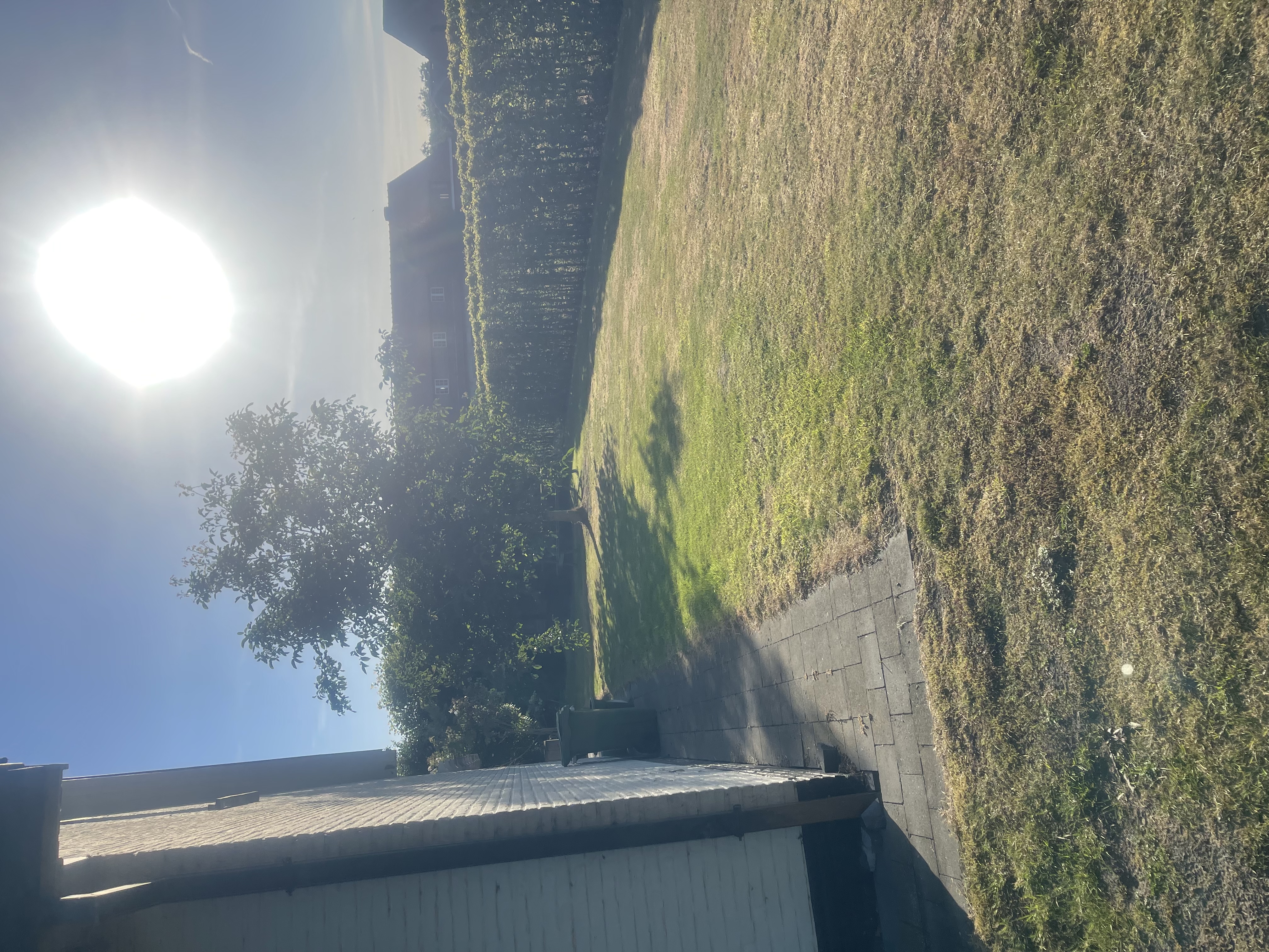 image-14