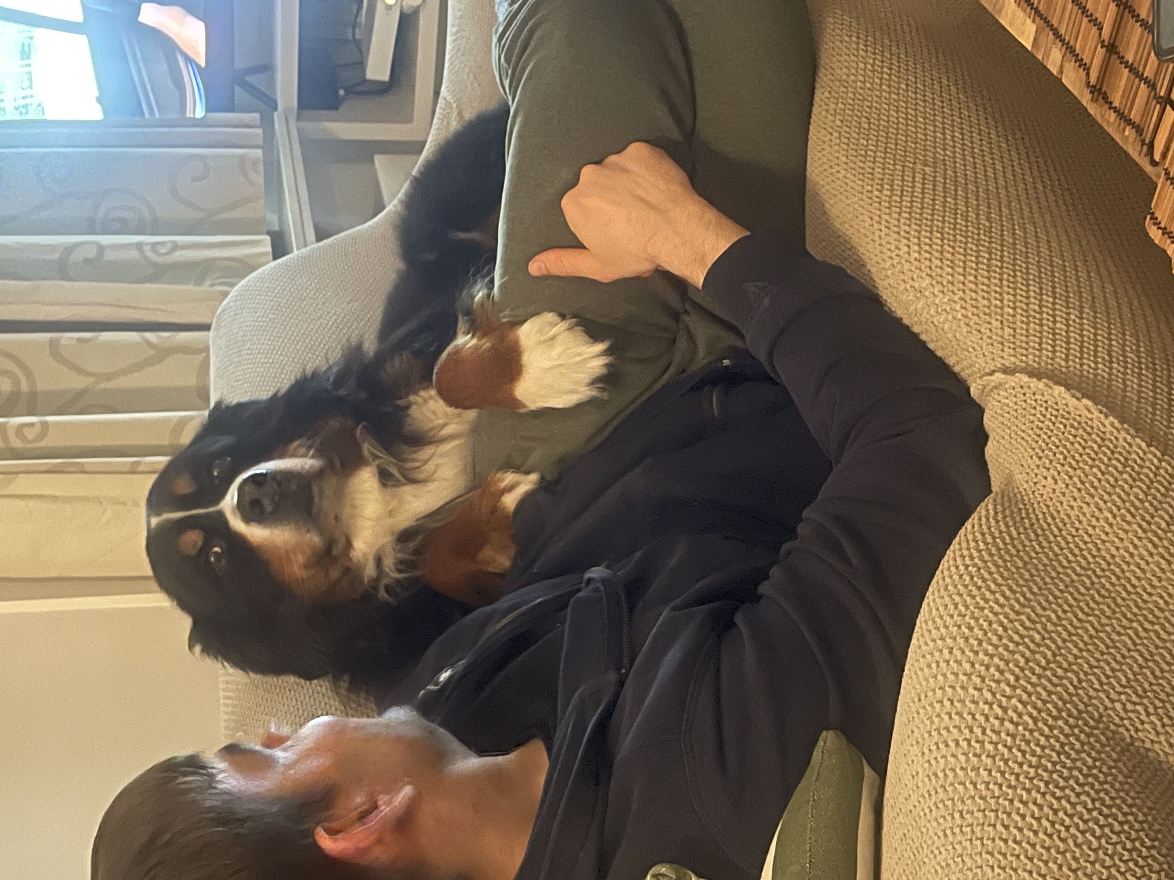 image-7
