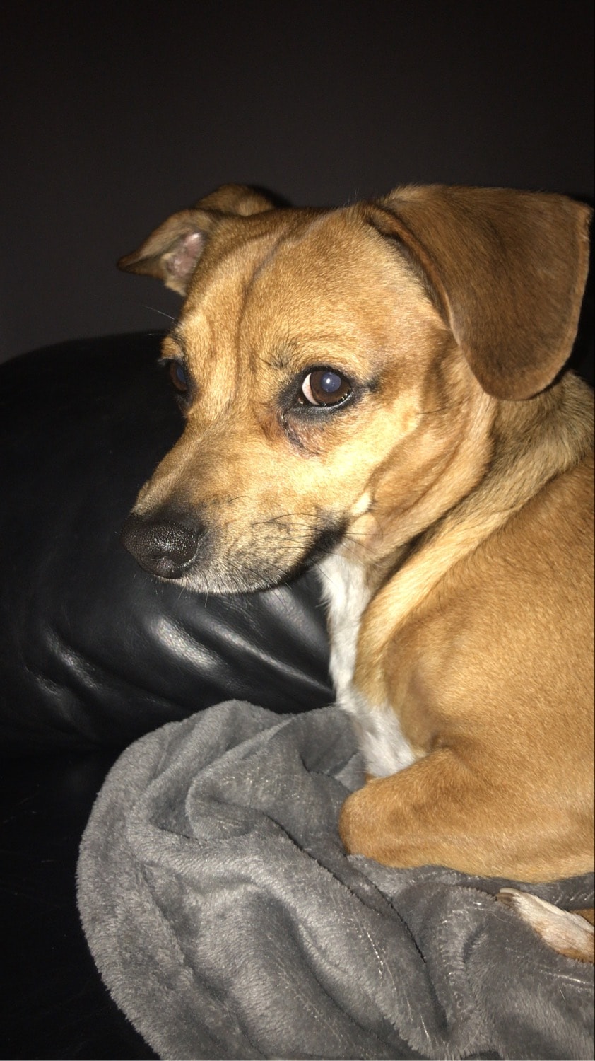 murphy