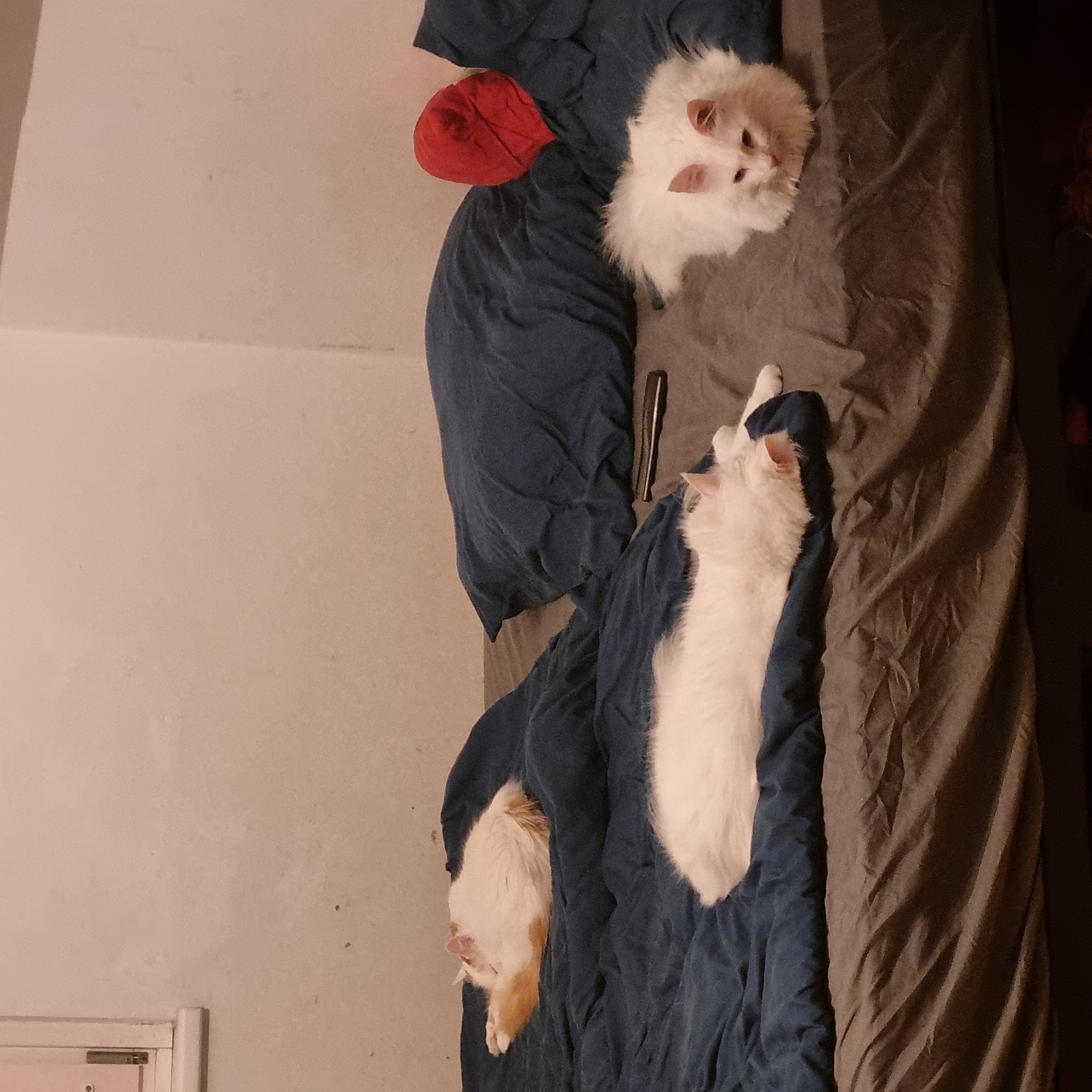 image-36