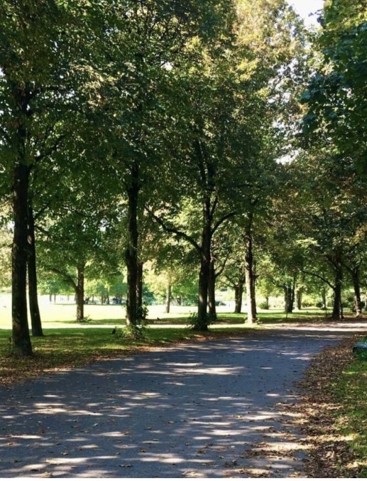 image-12