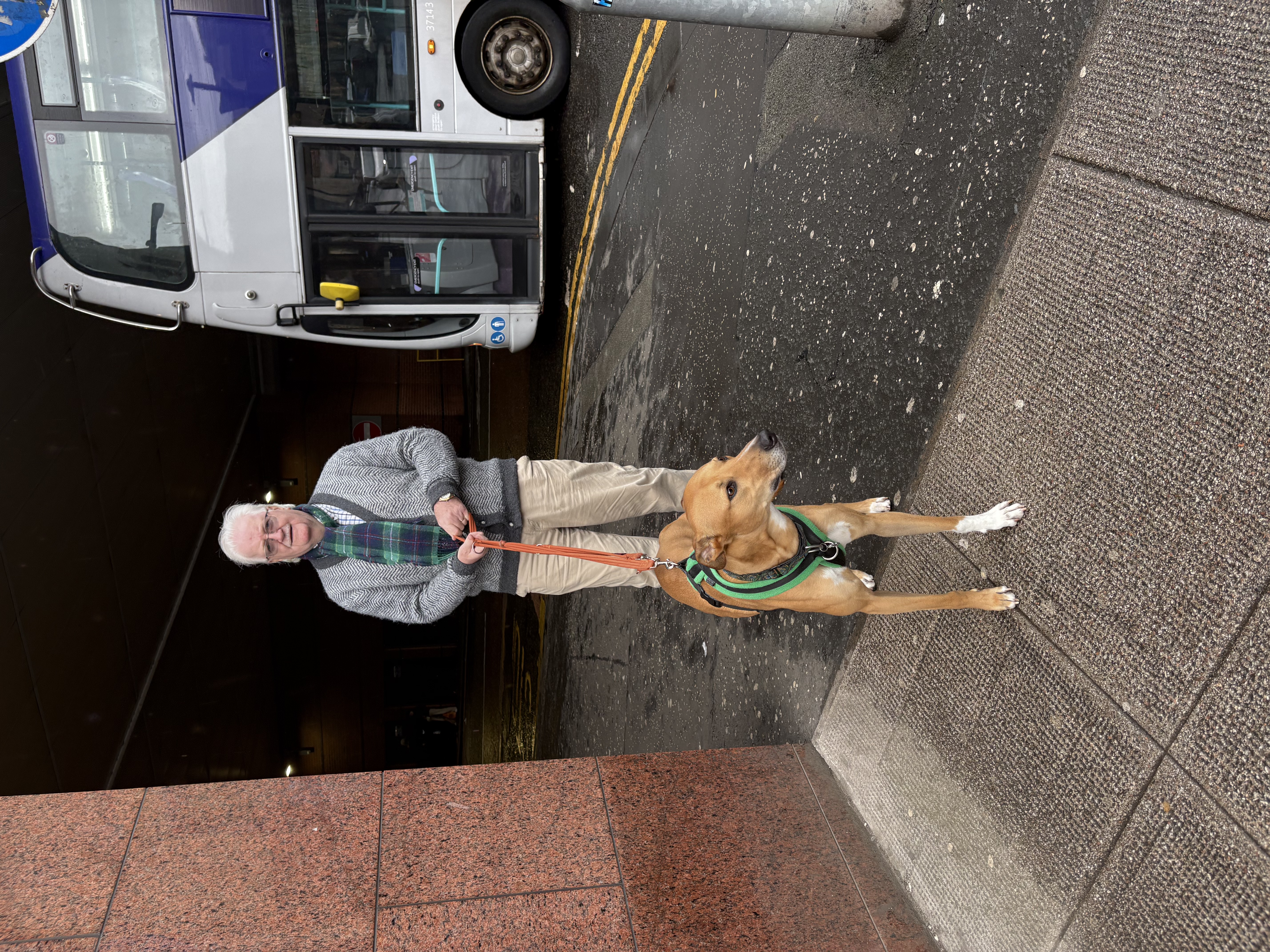 image-28