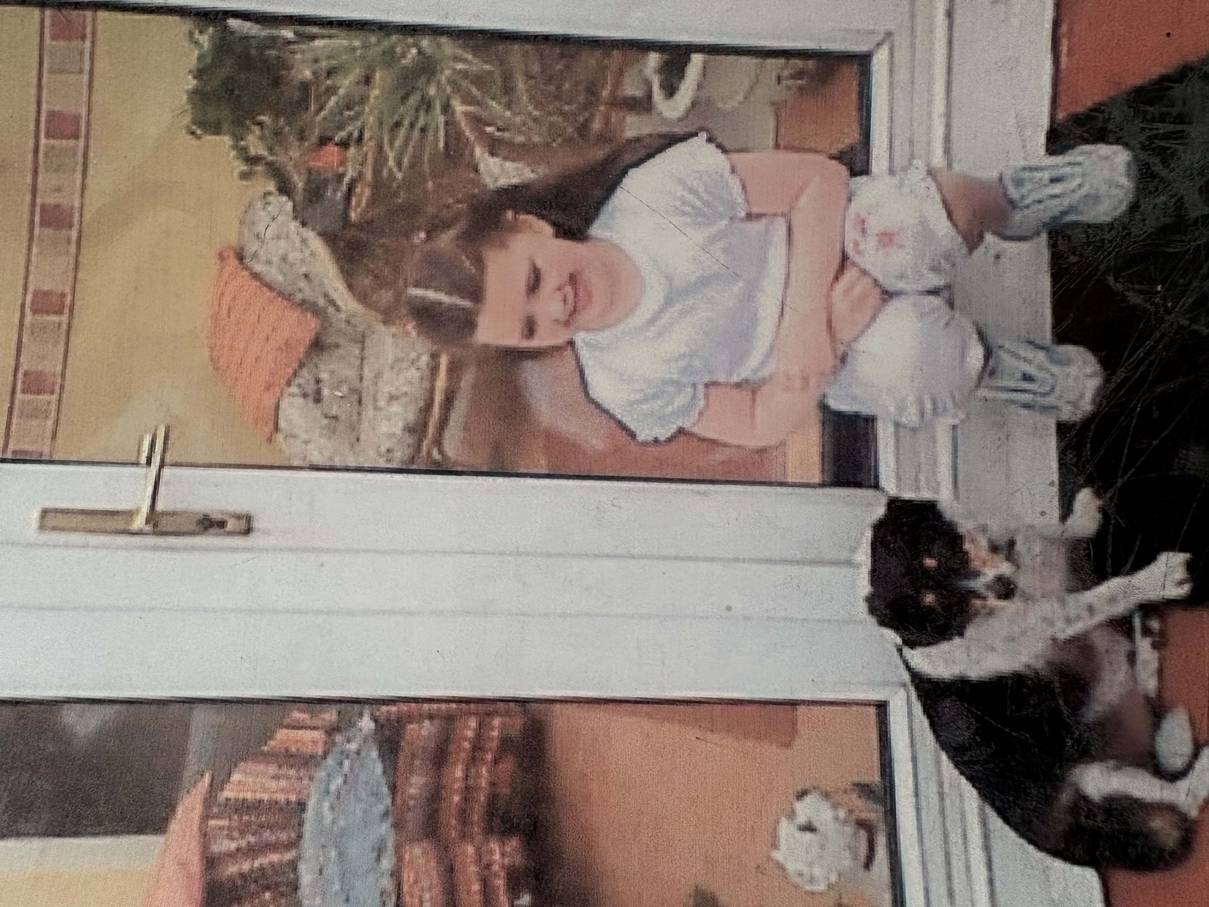 image-29