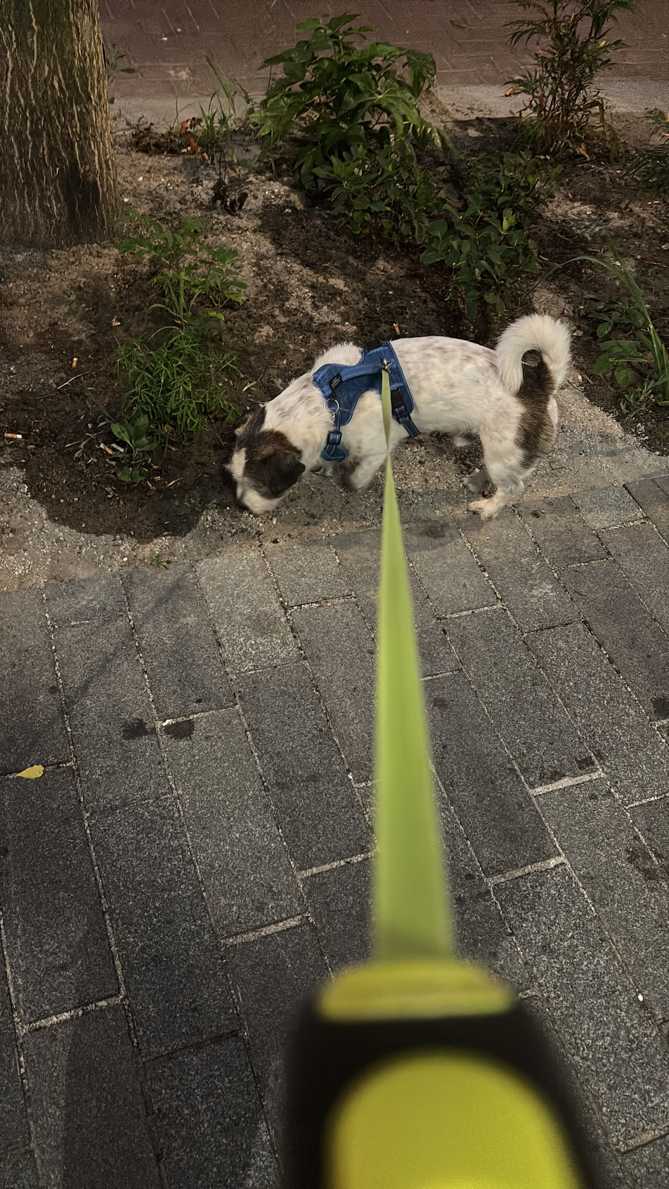 image-35