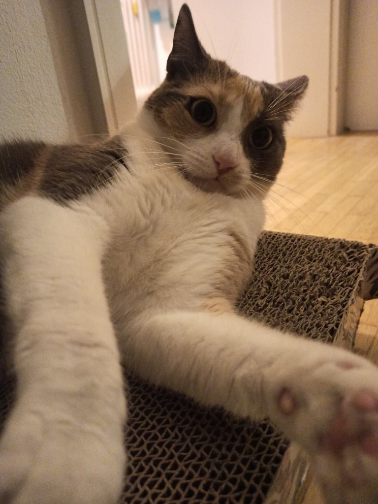 image-11