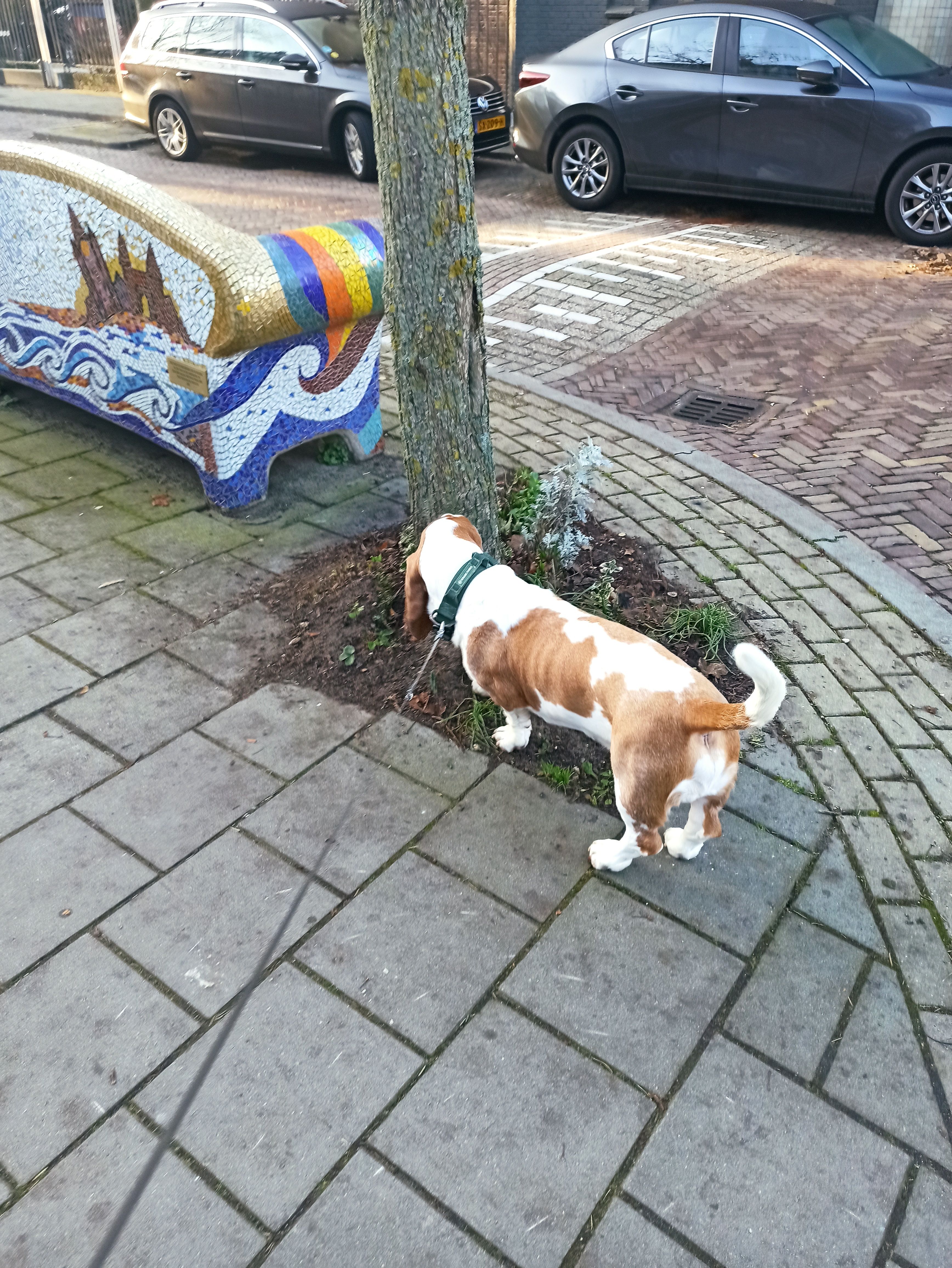 image-16