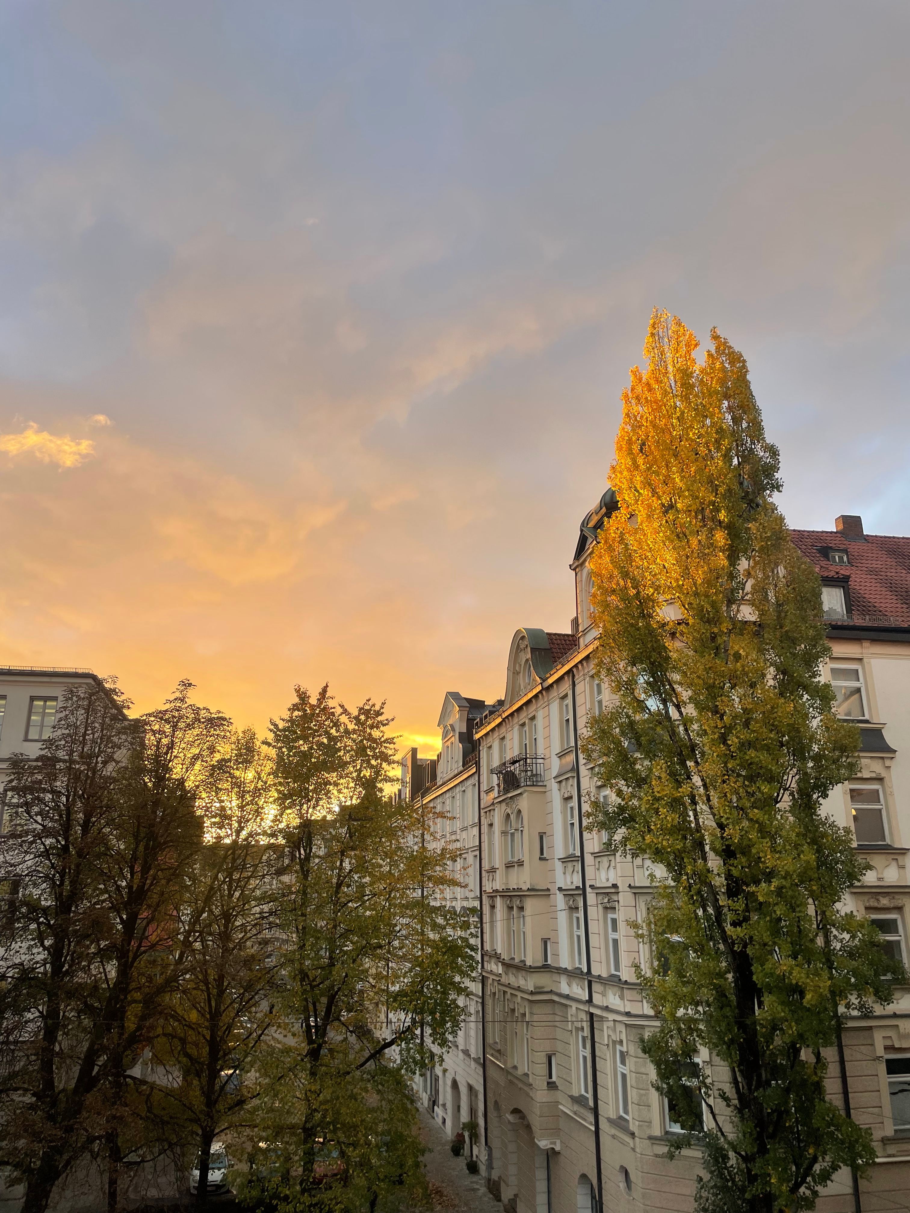 image-22