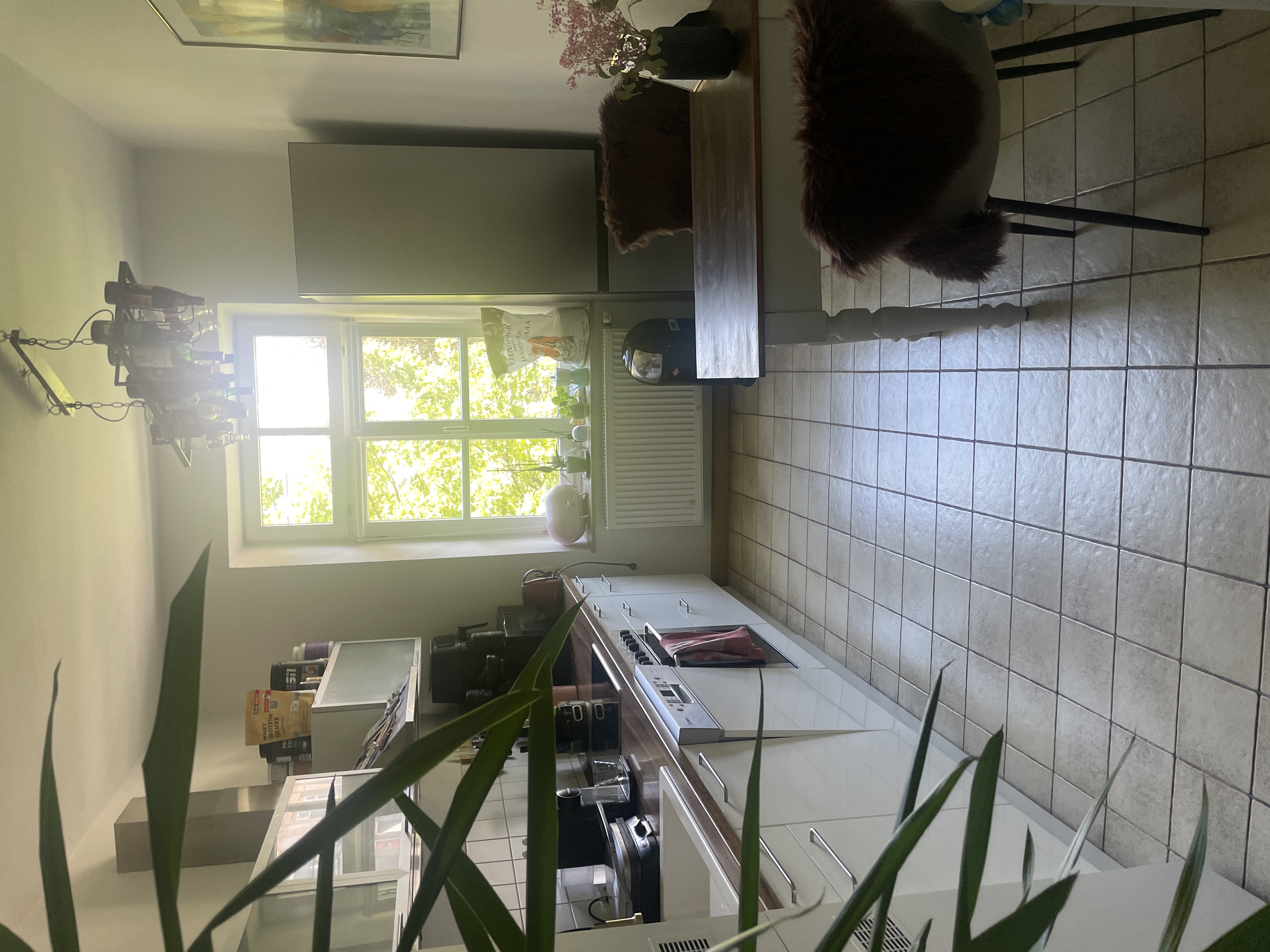 image-20