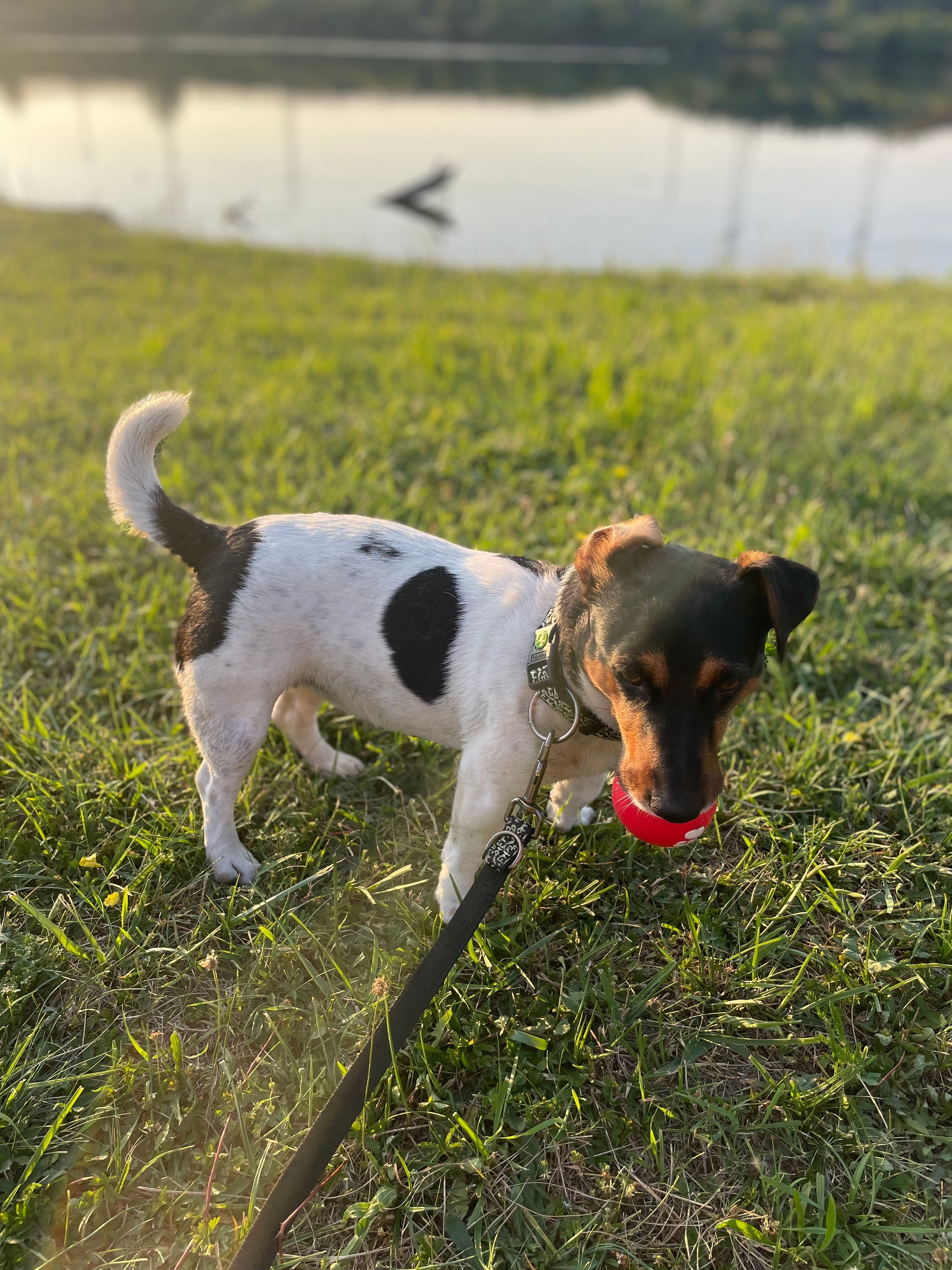 image-8