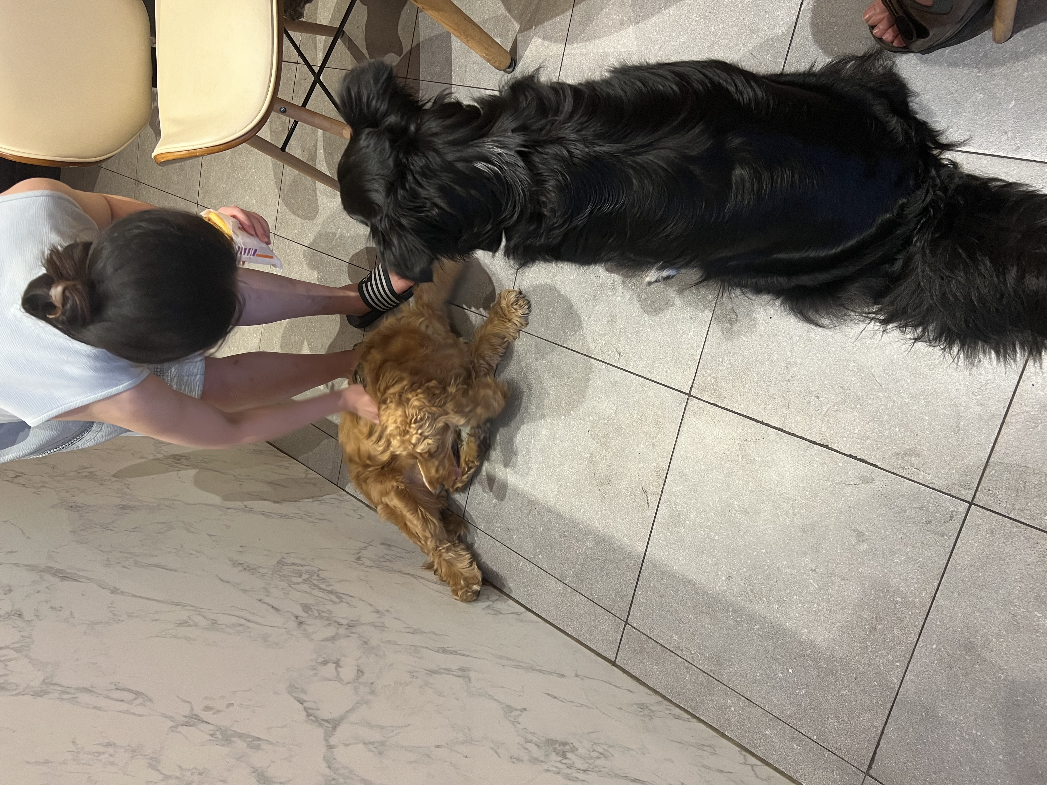 image-12