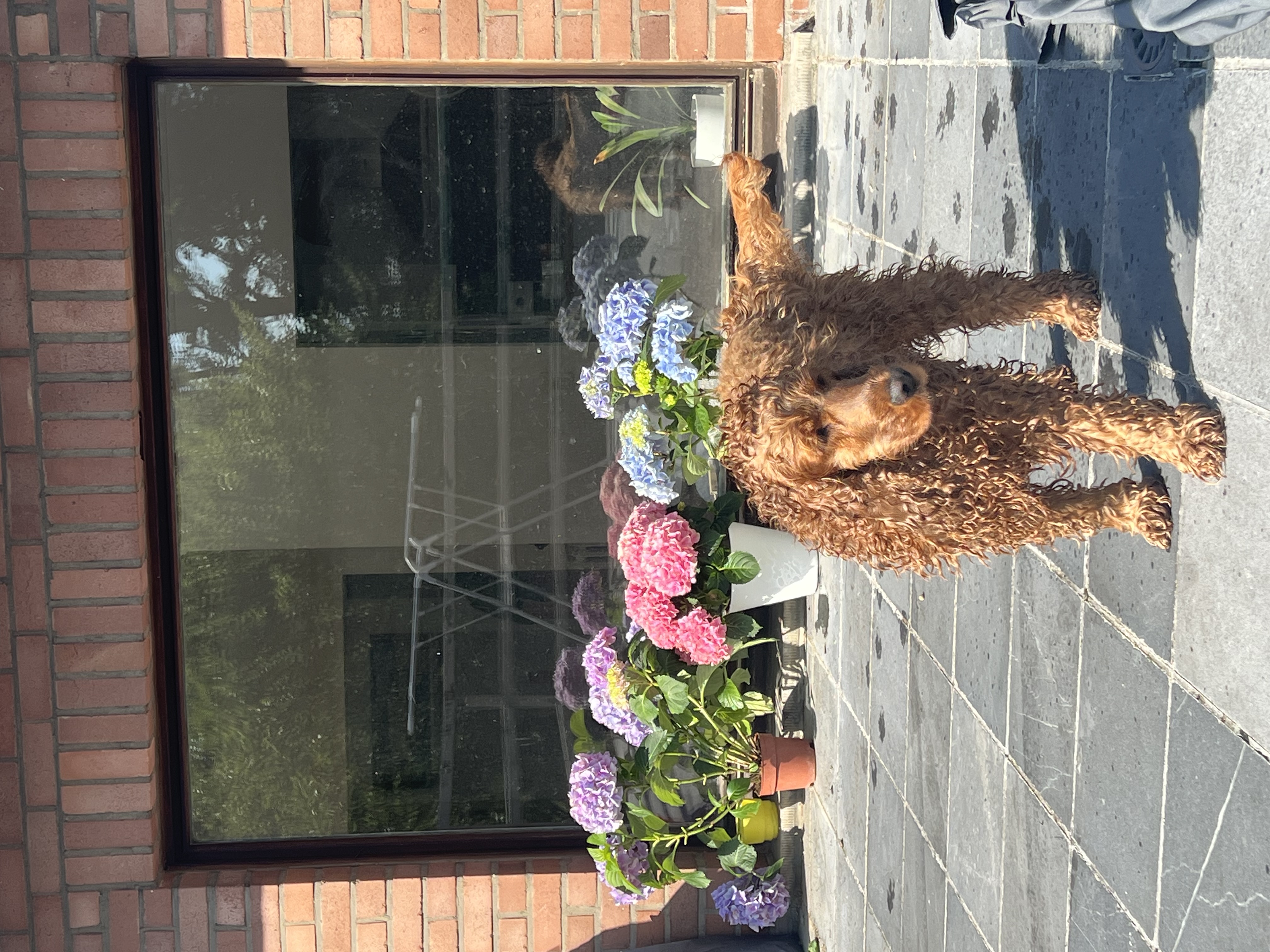 image-6