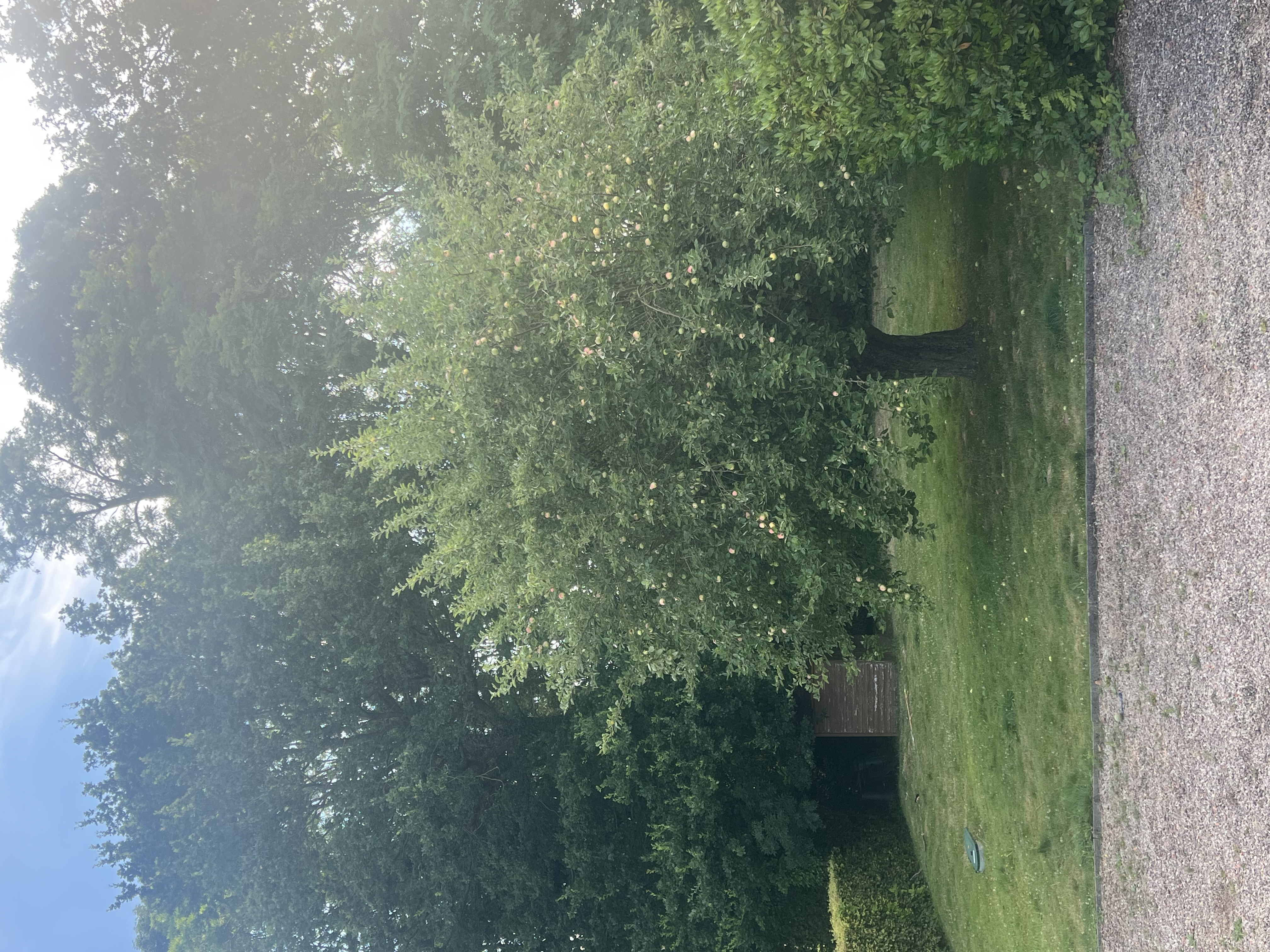 image-11