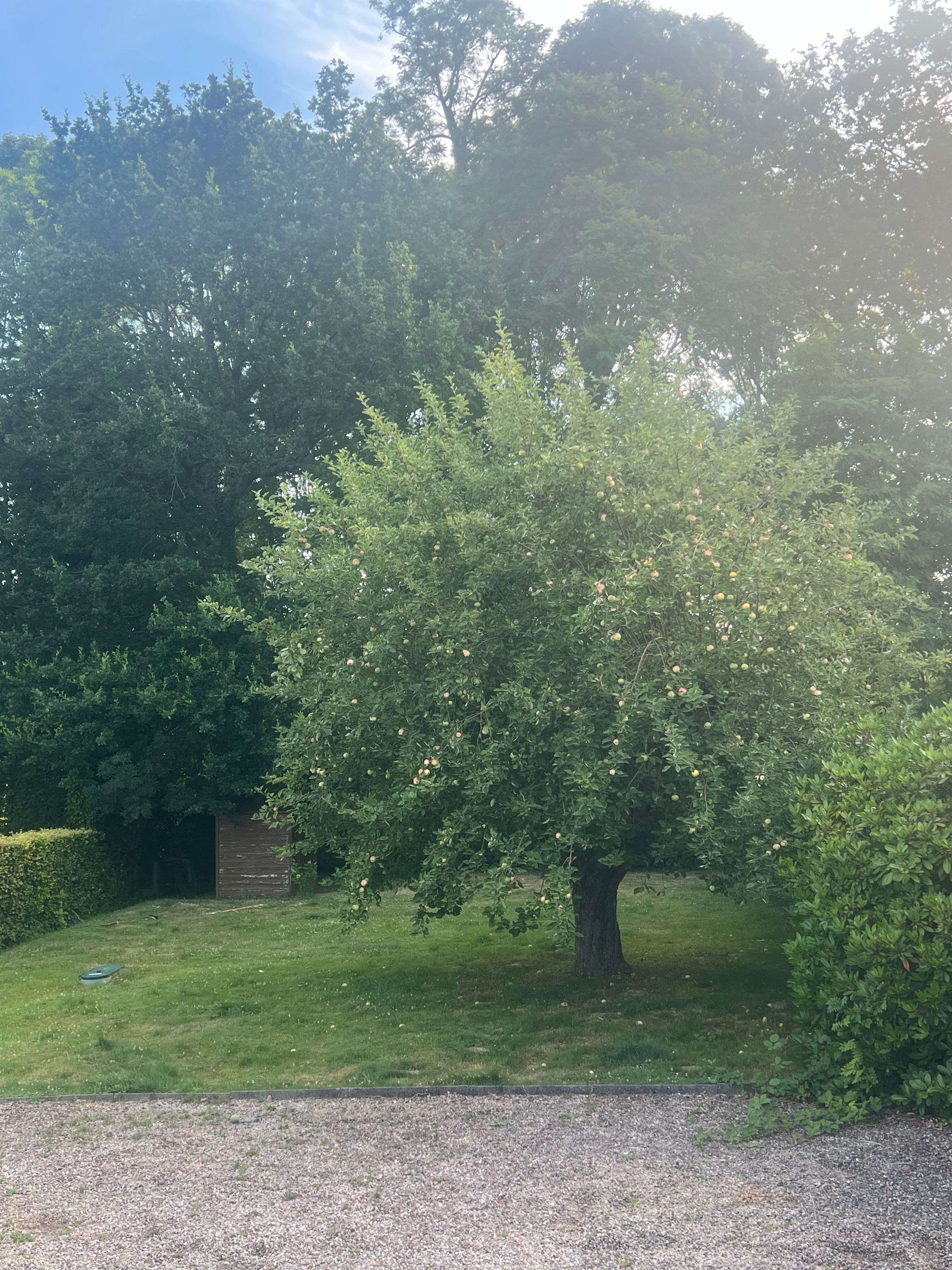image-11
