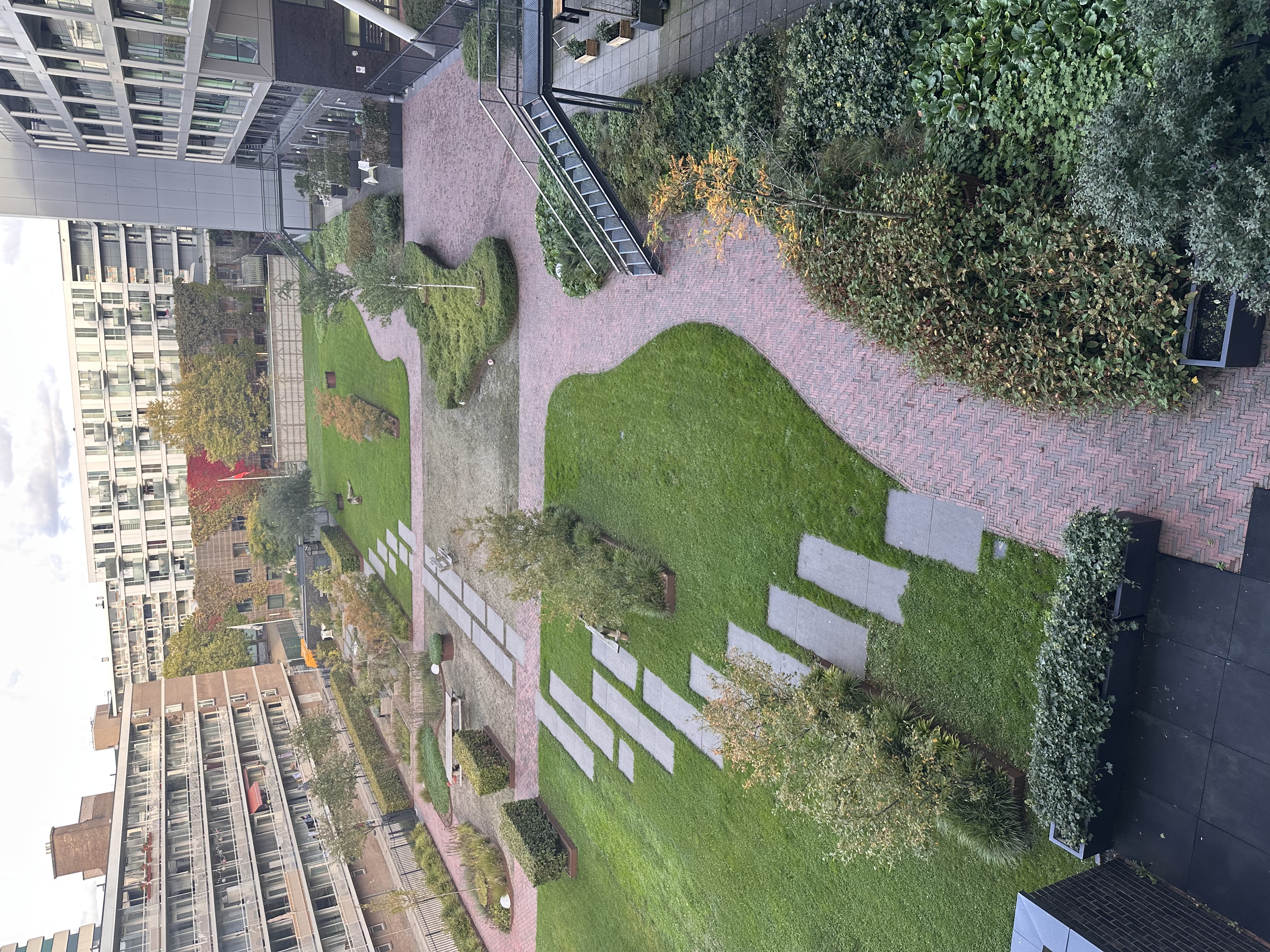 image-7