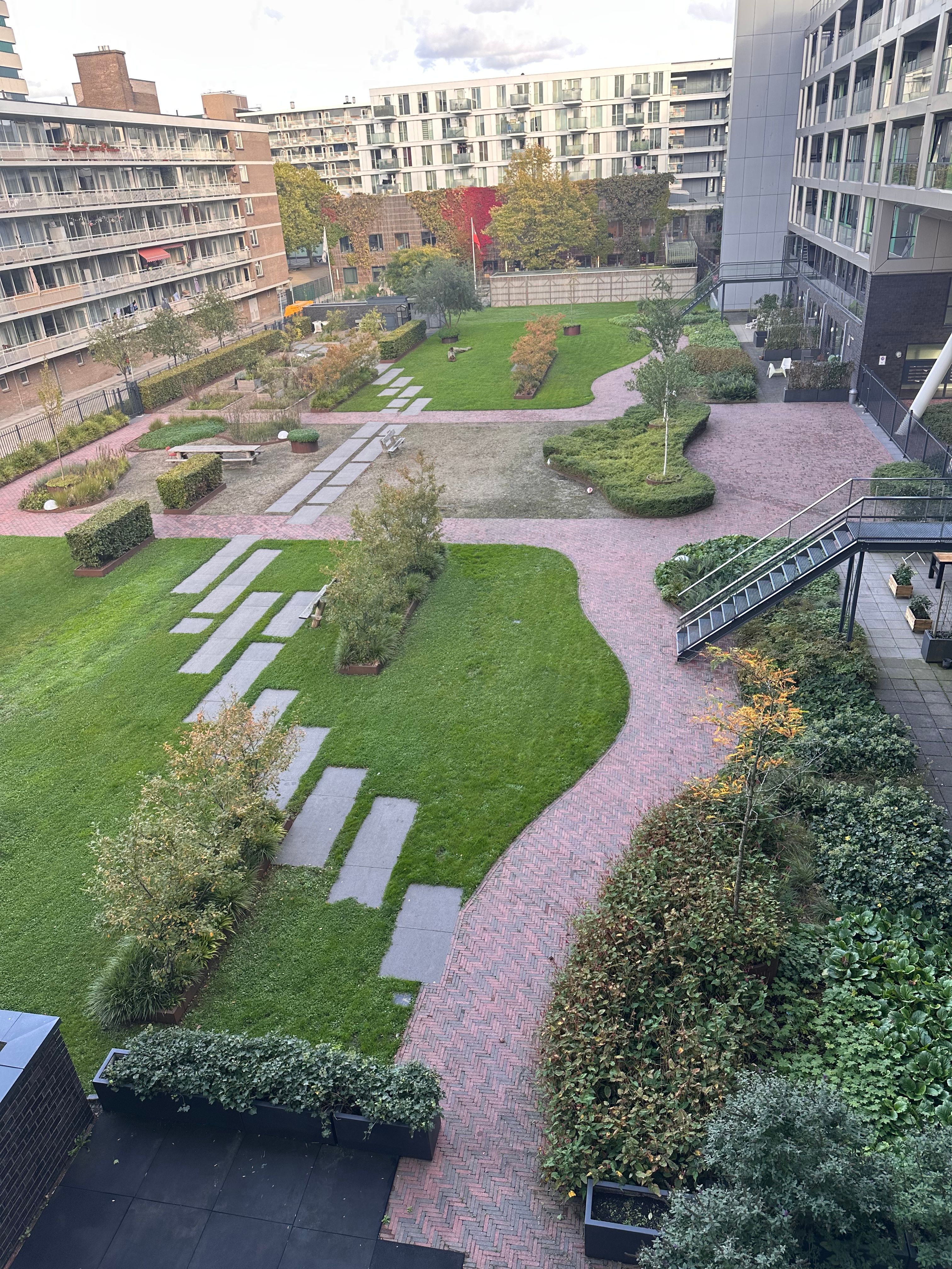 image-7