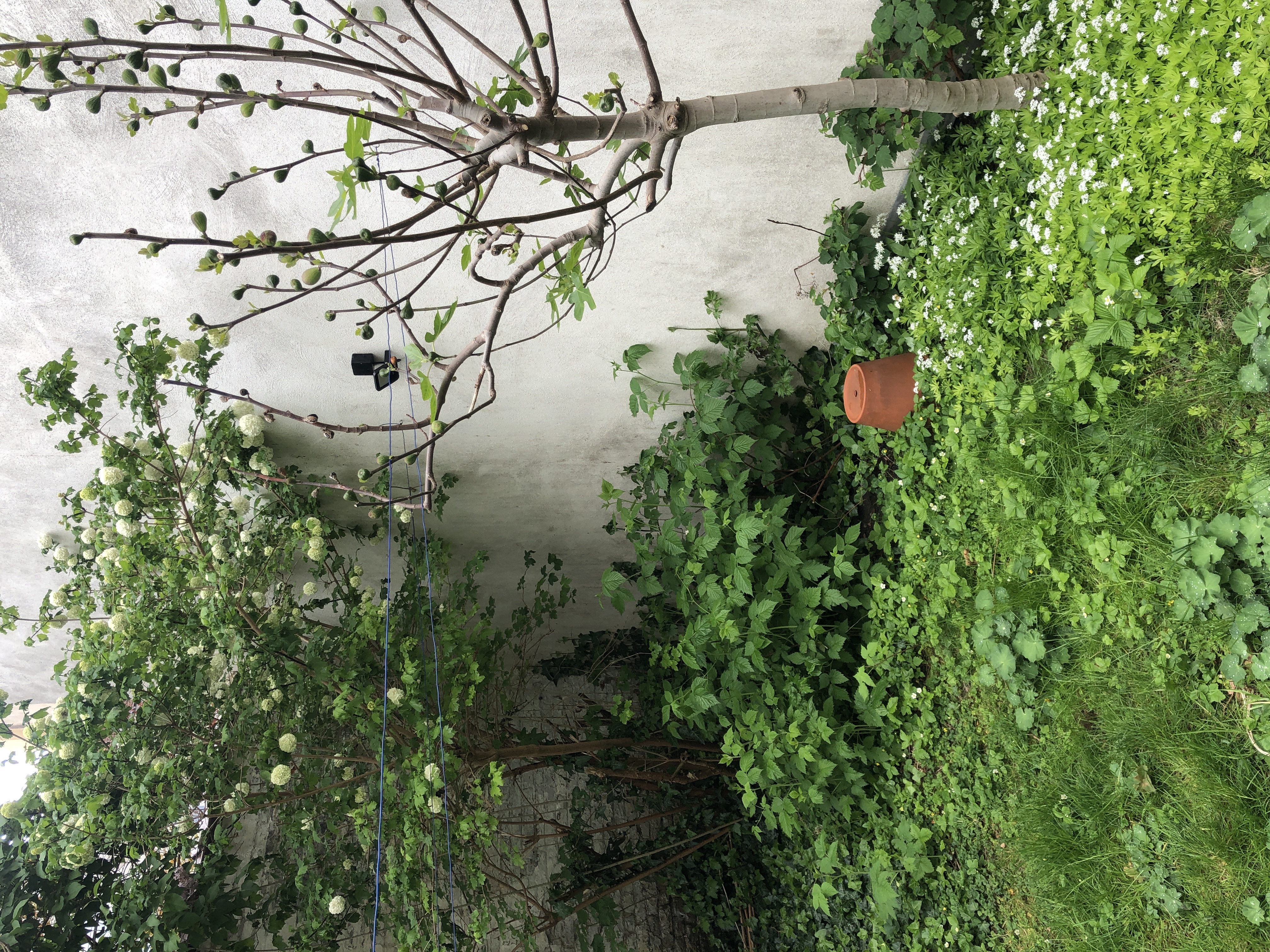 image-10