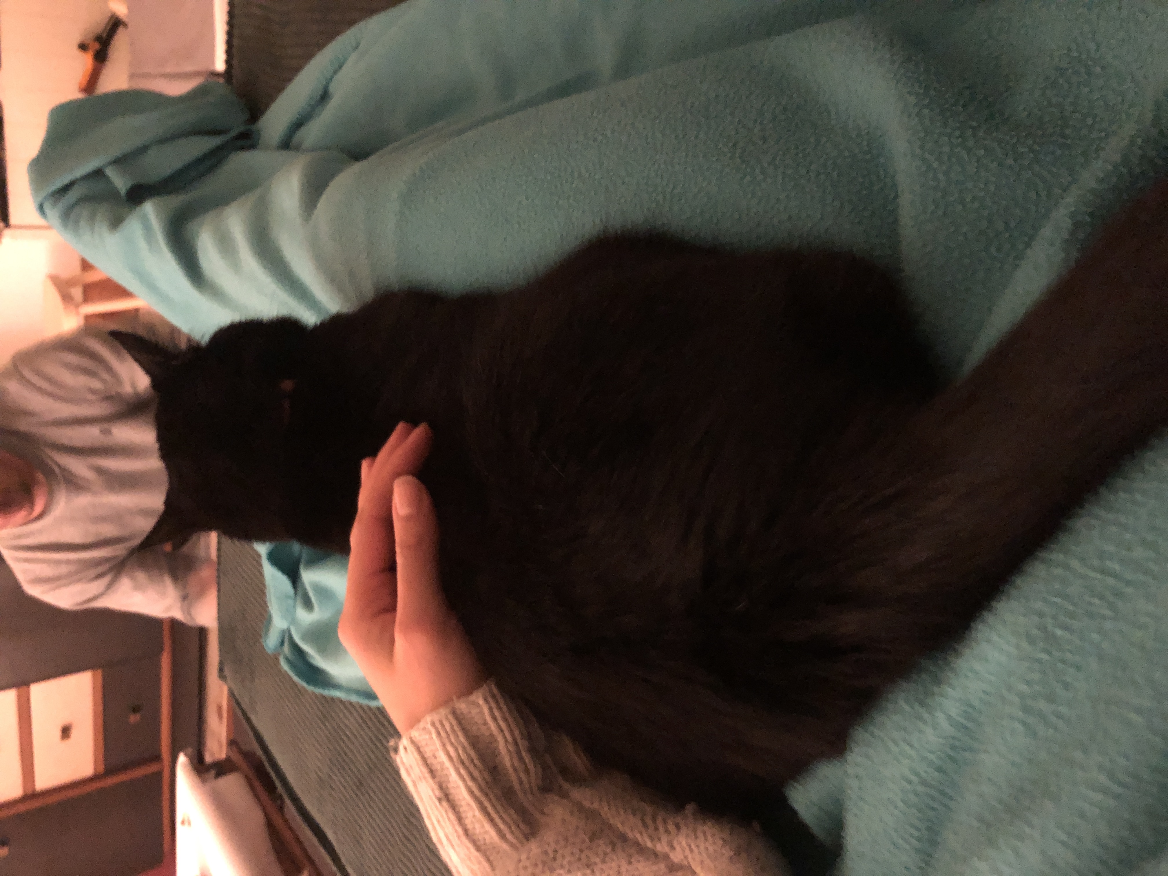 image-6