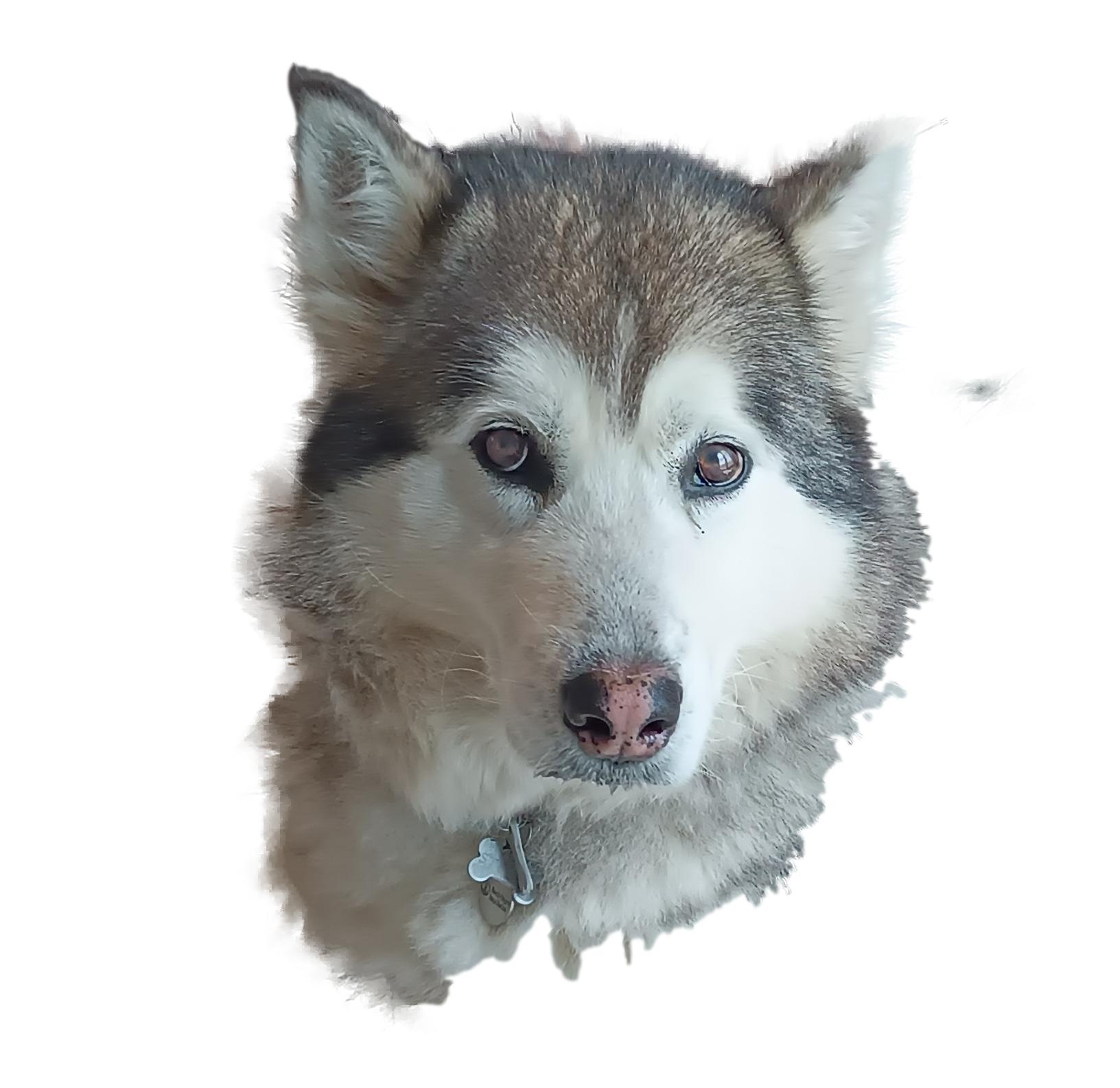 image-11