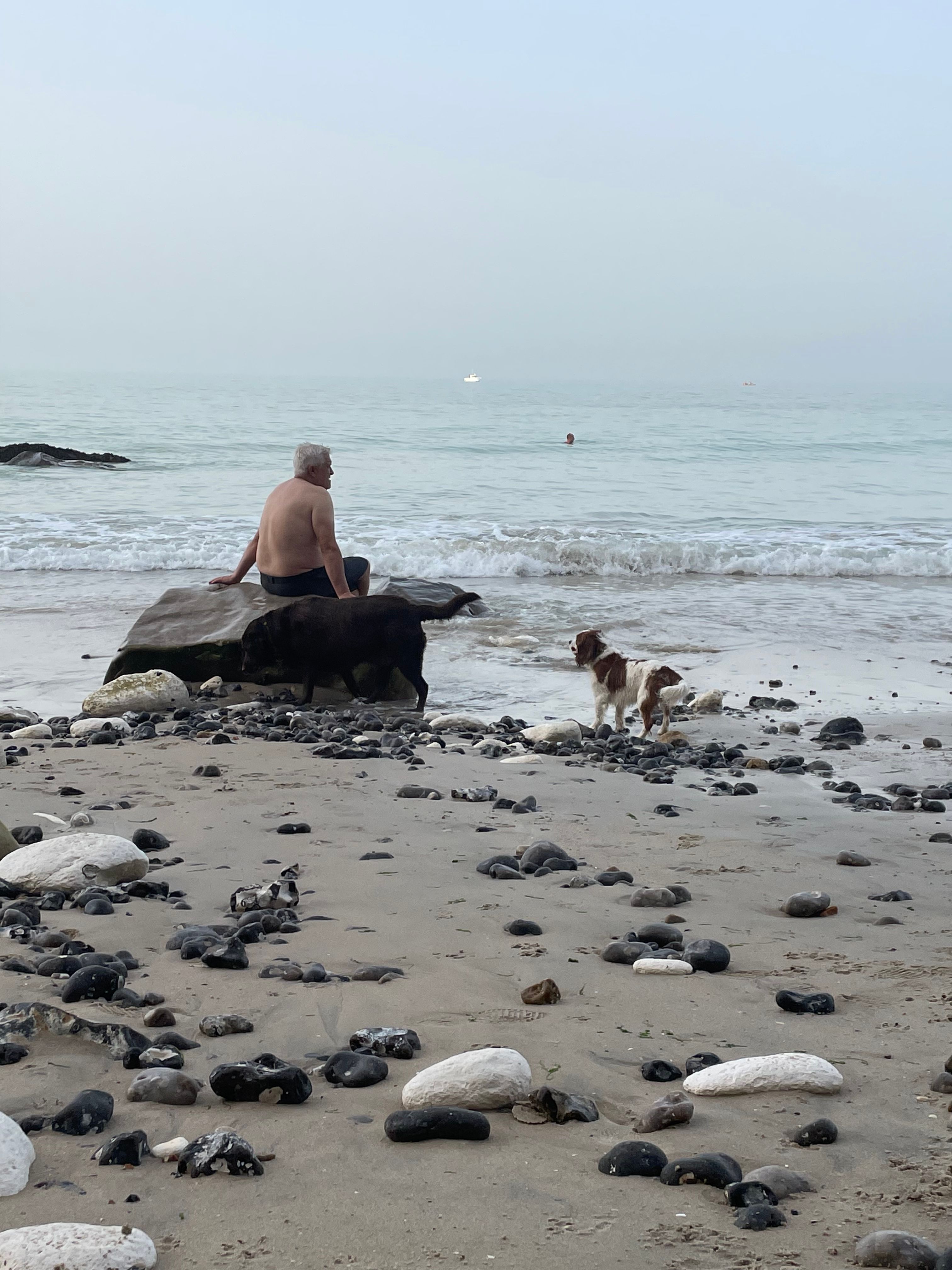 image-8