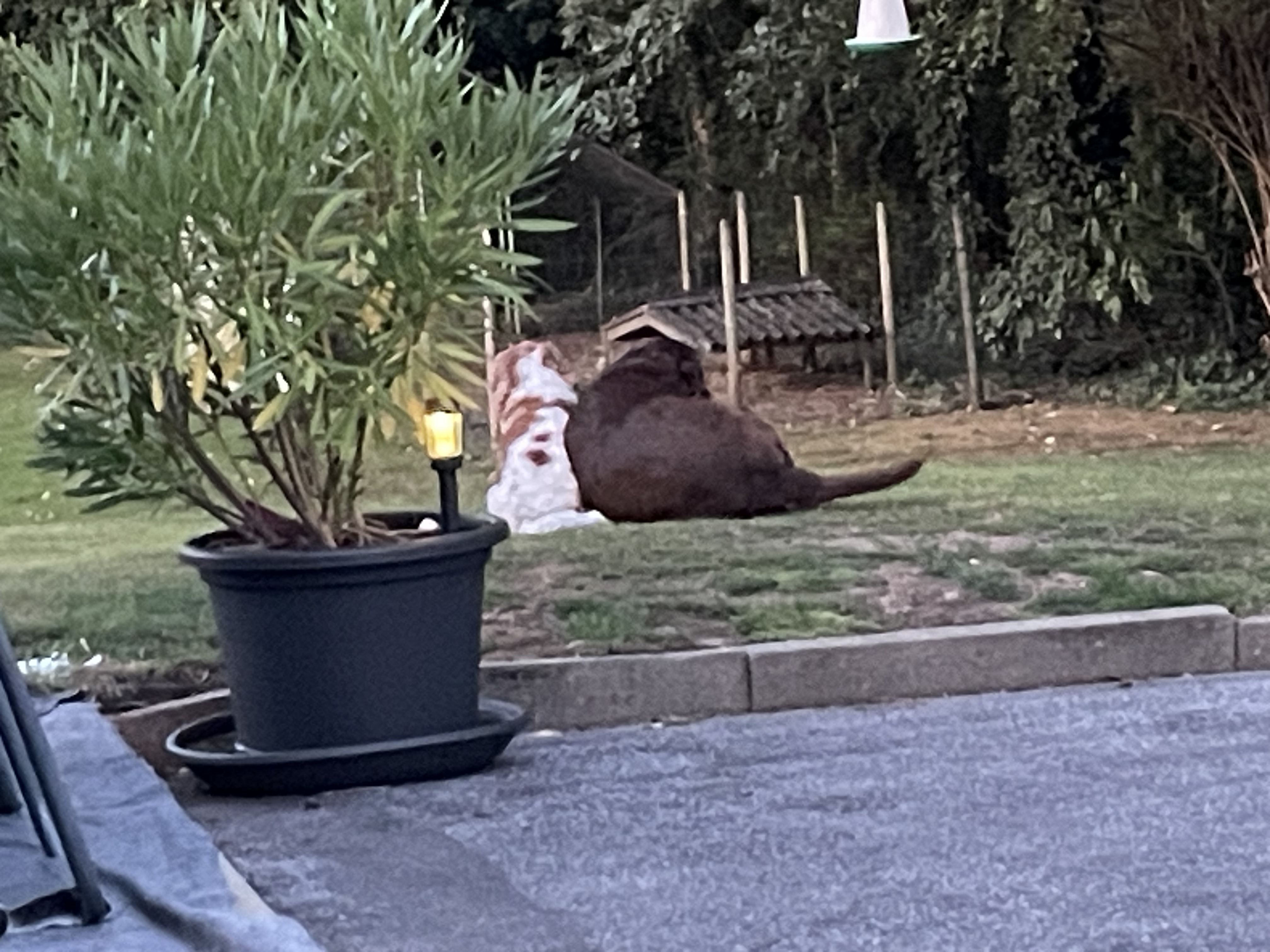 image-12