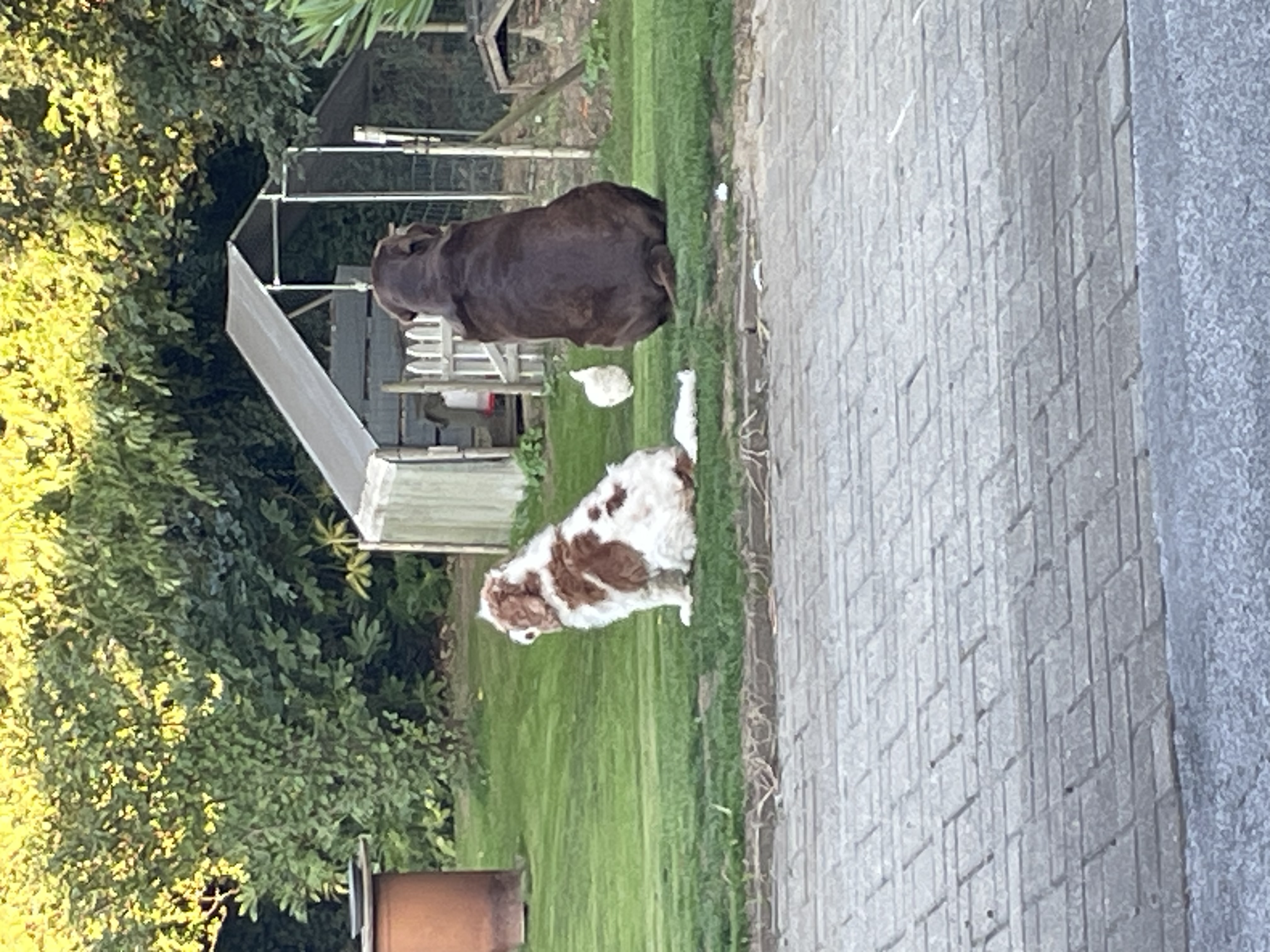 image-18