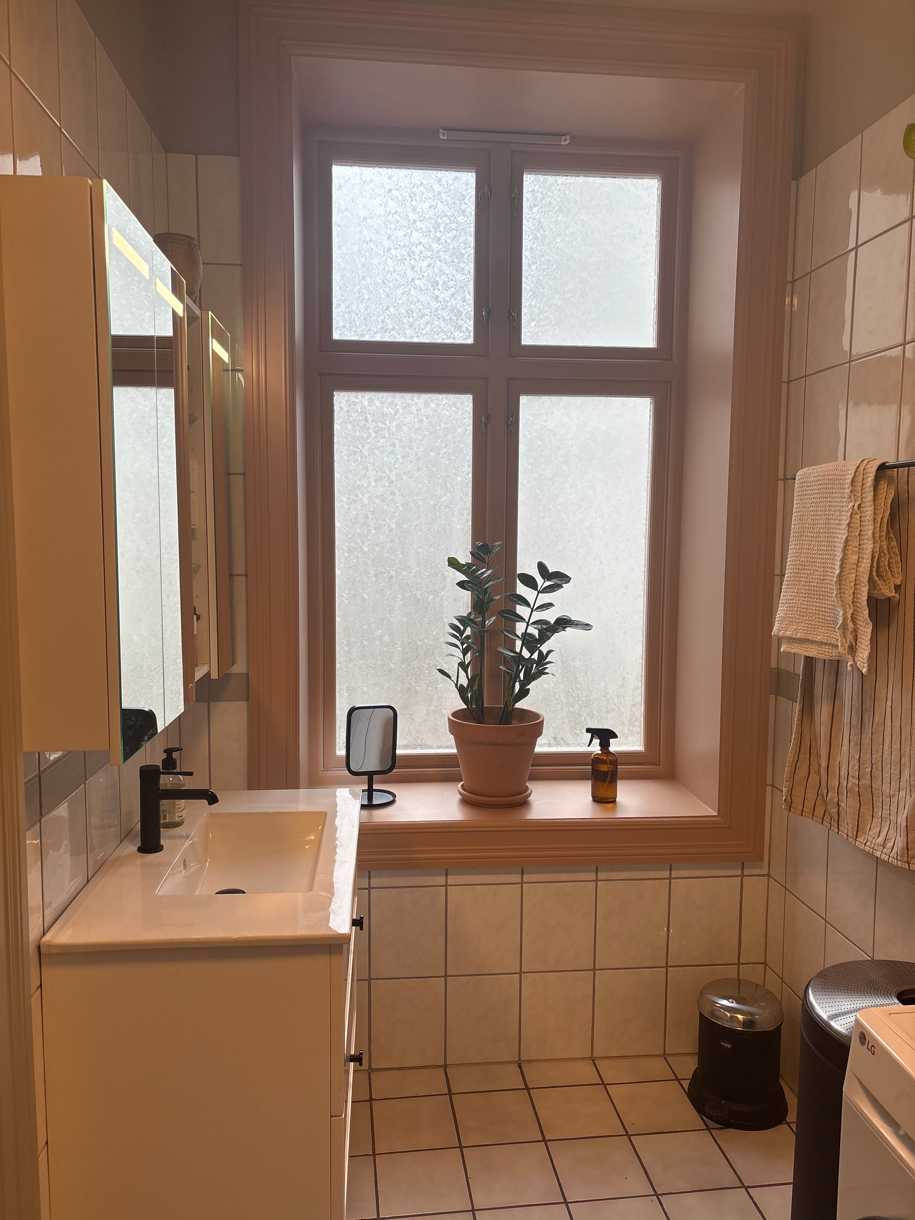 image-20
