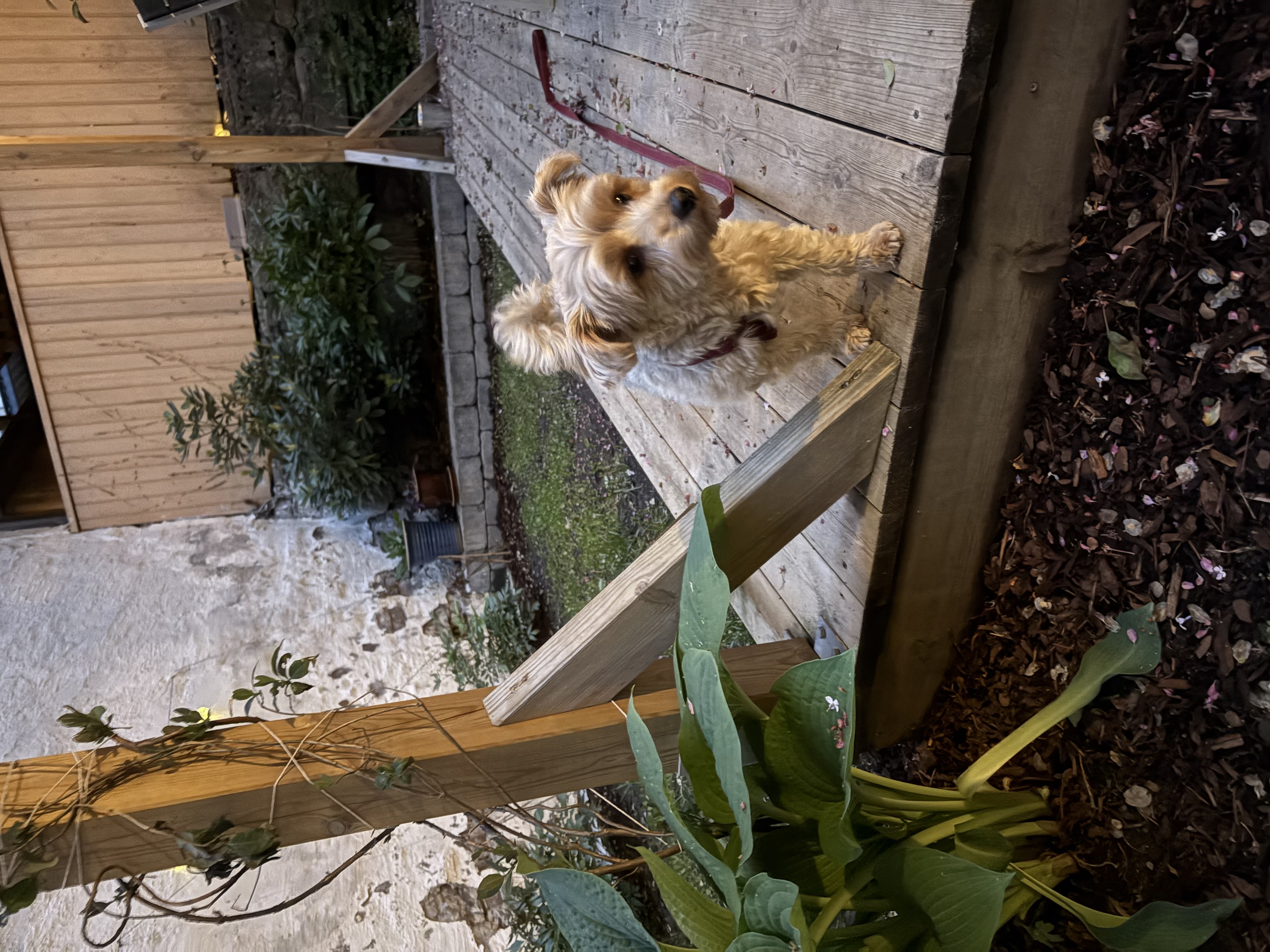 image-9