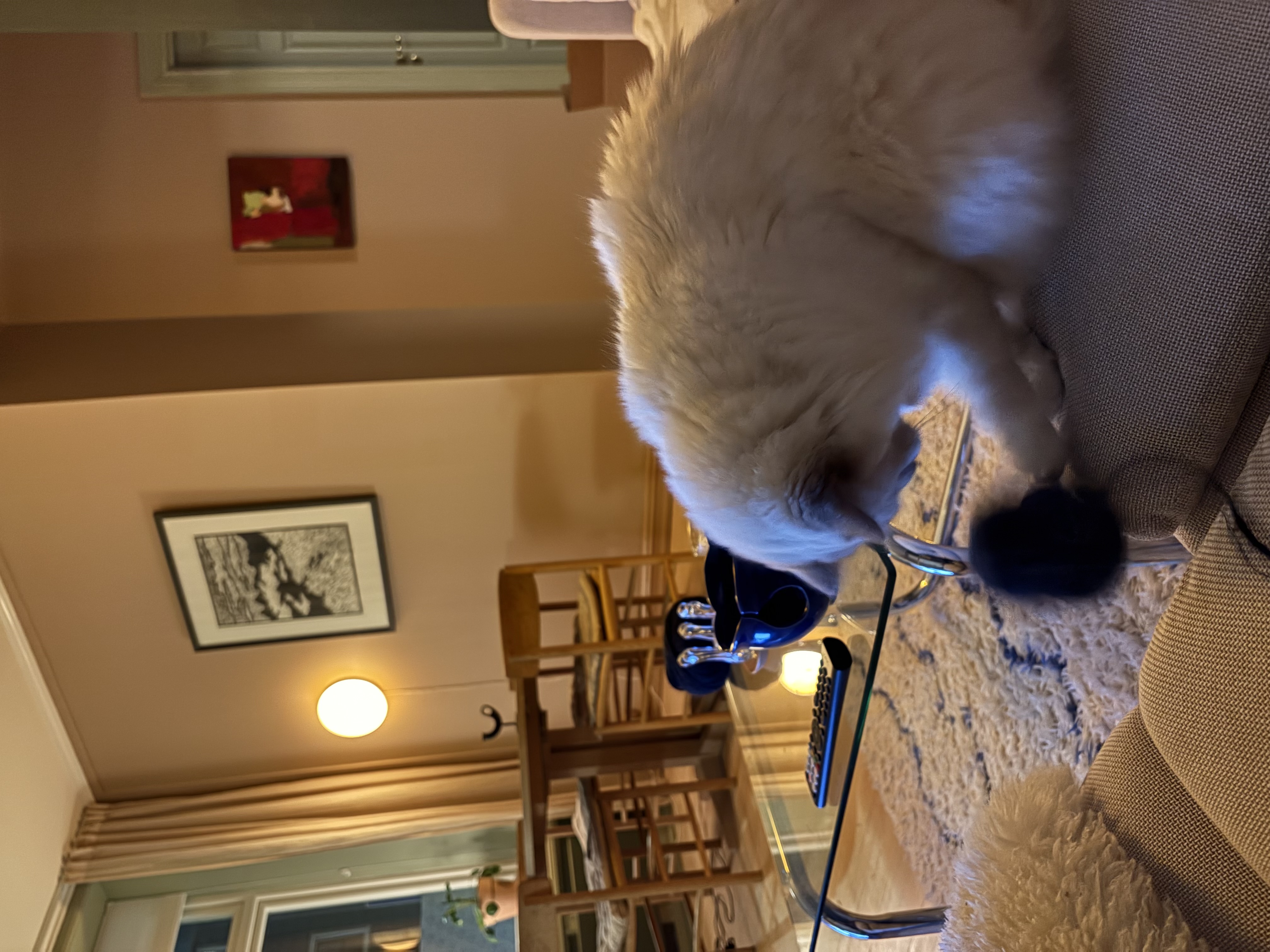 image-6