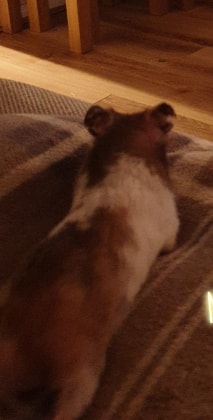 image-4