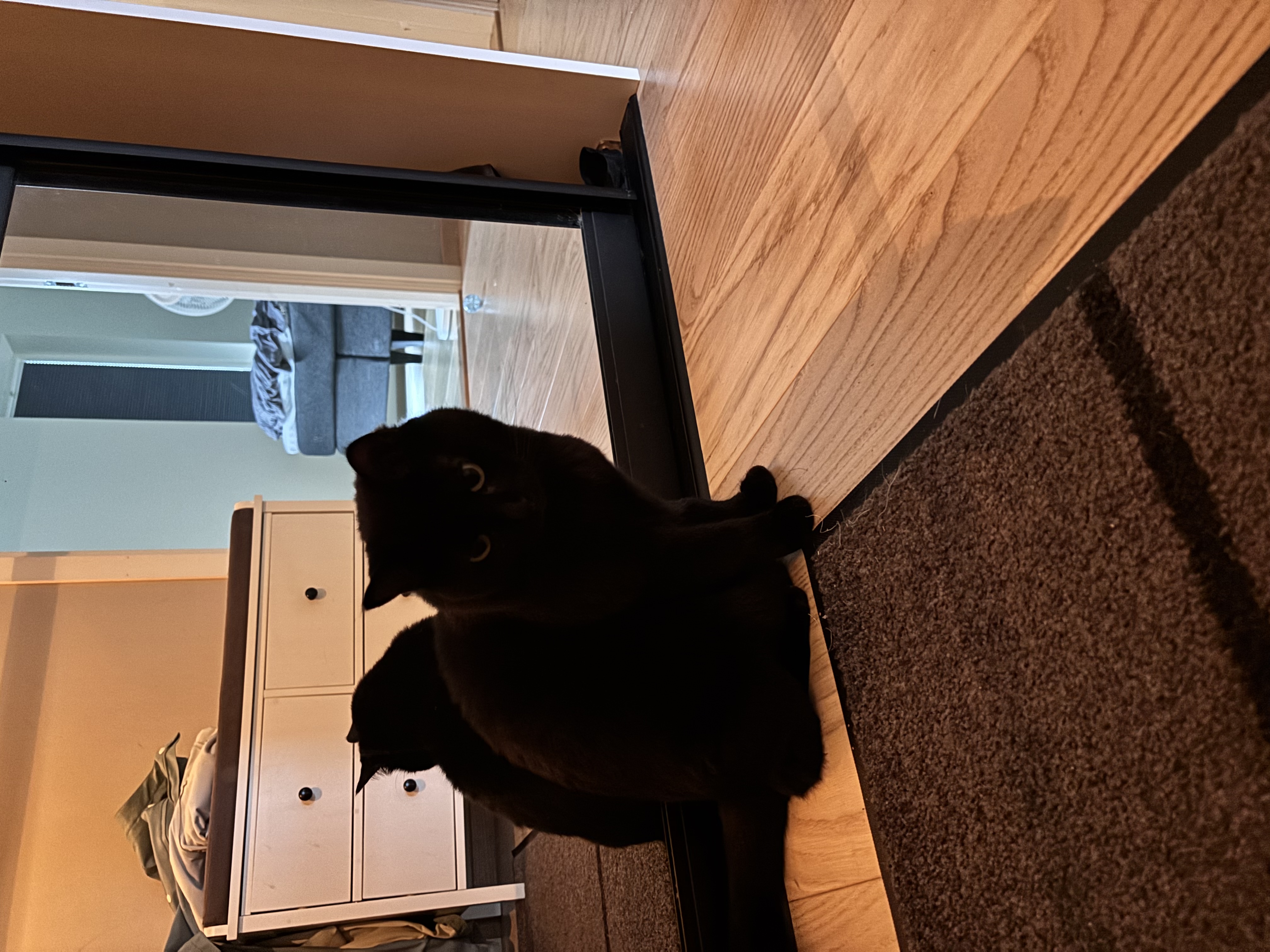 image-14