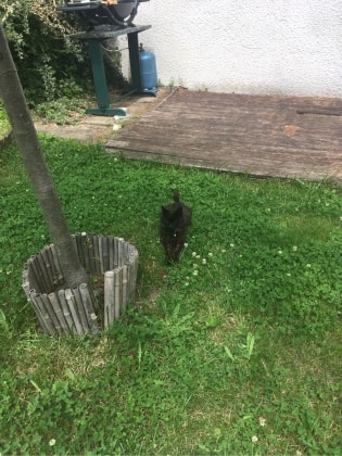 image-6