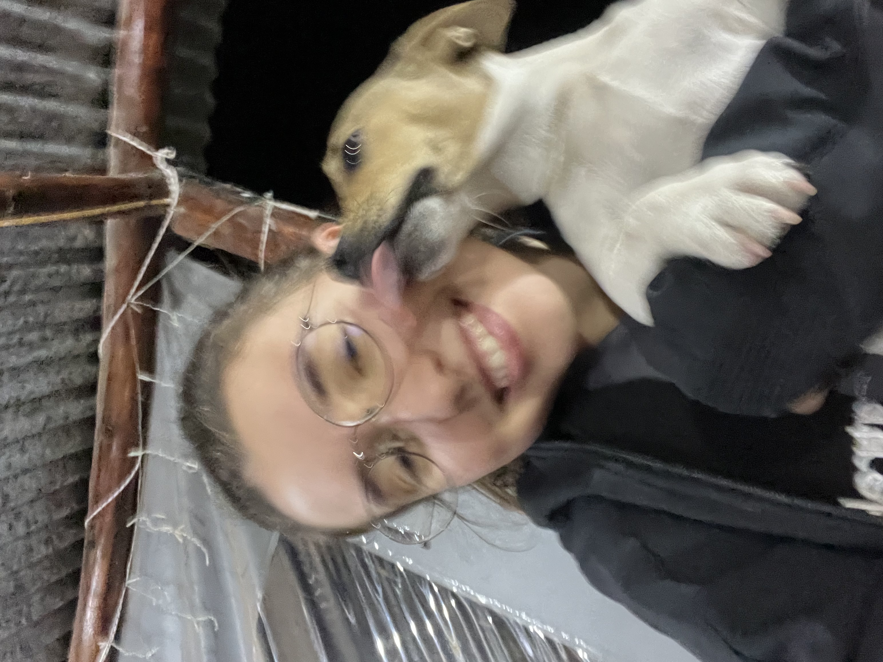 image-7