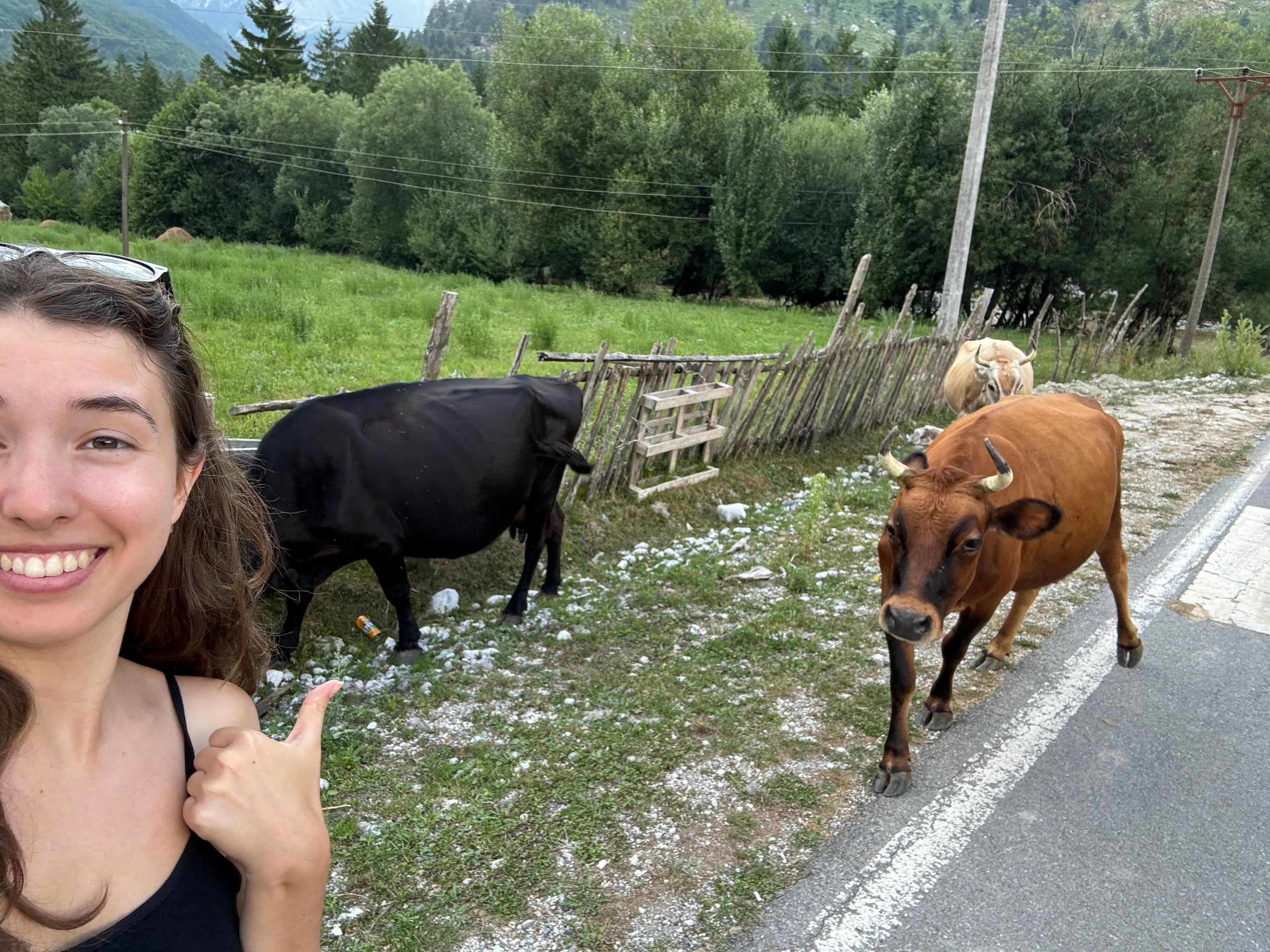 image-8