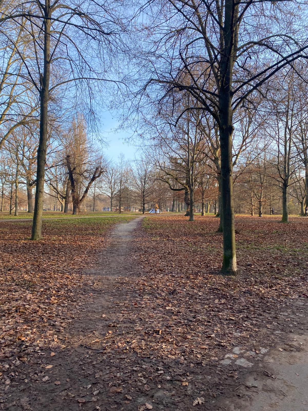 image-21