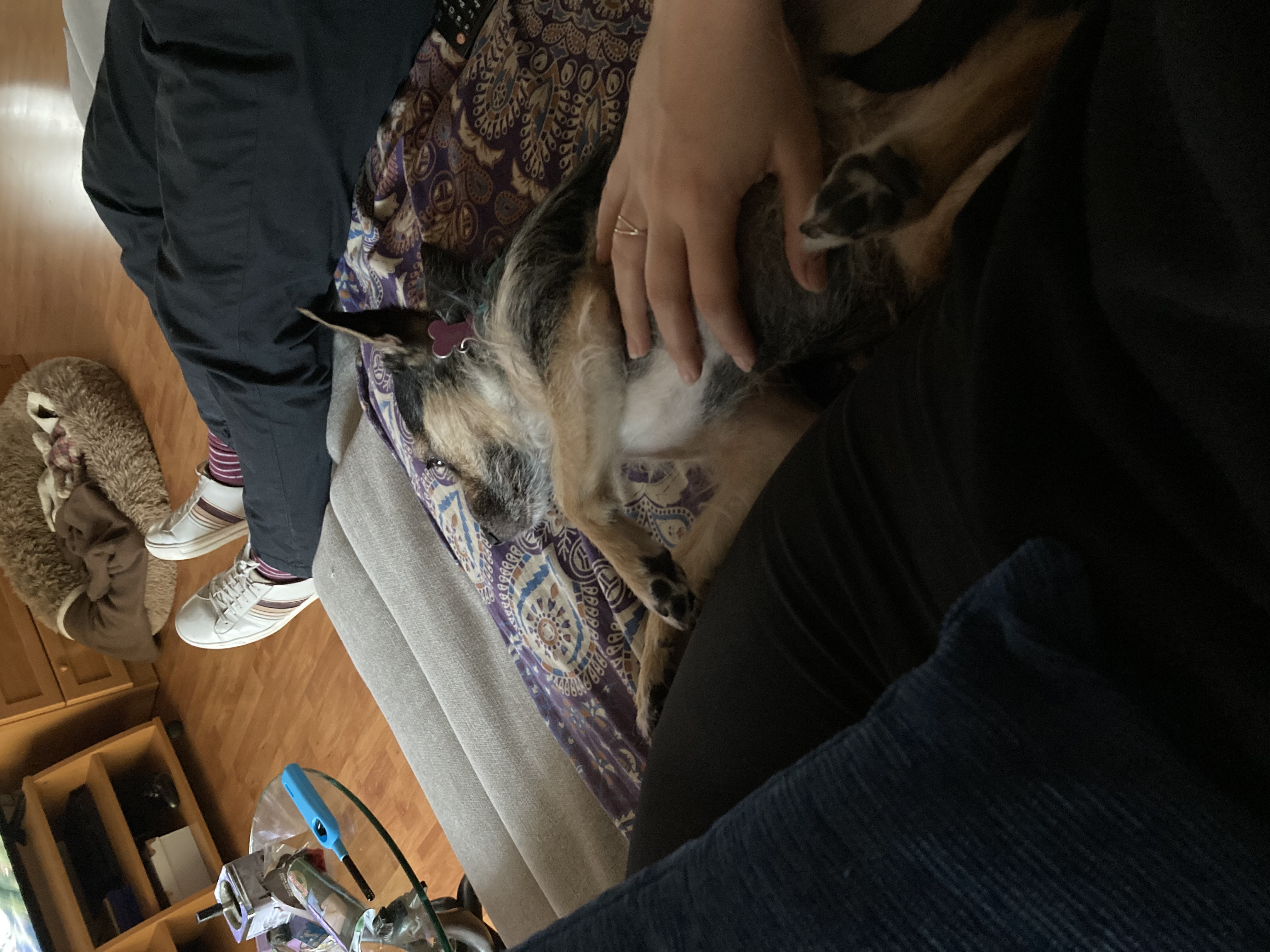 image-11
