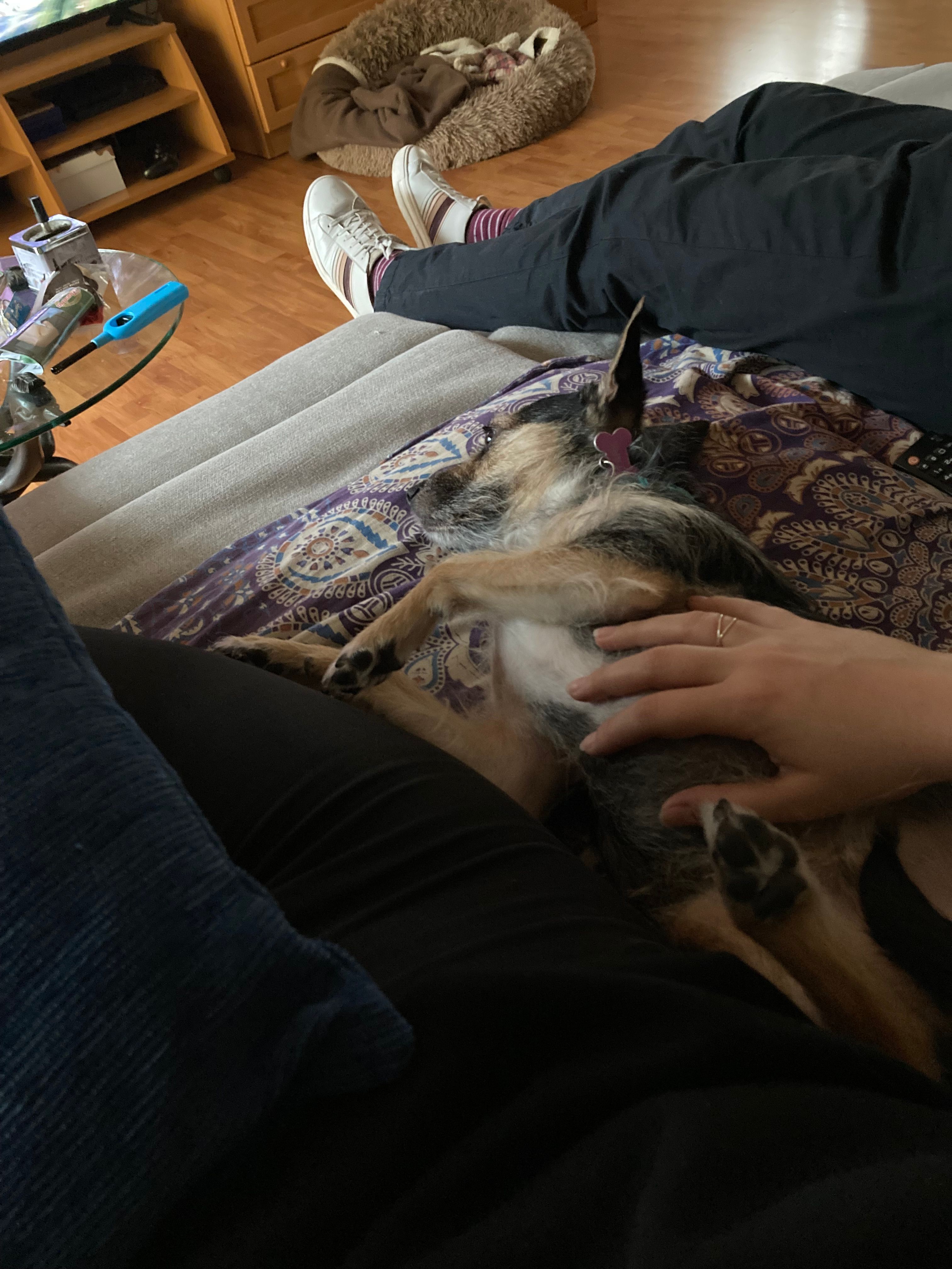 image-11