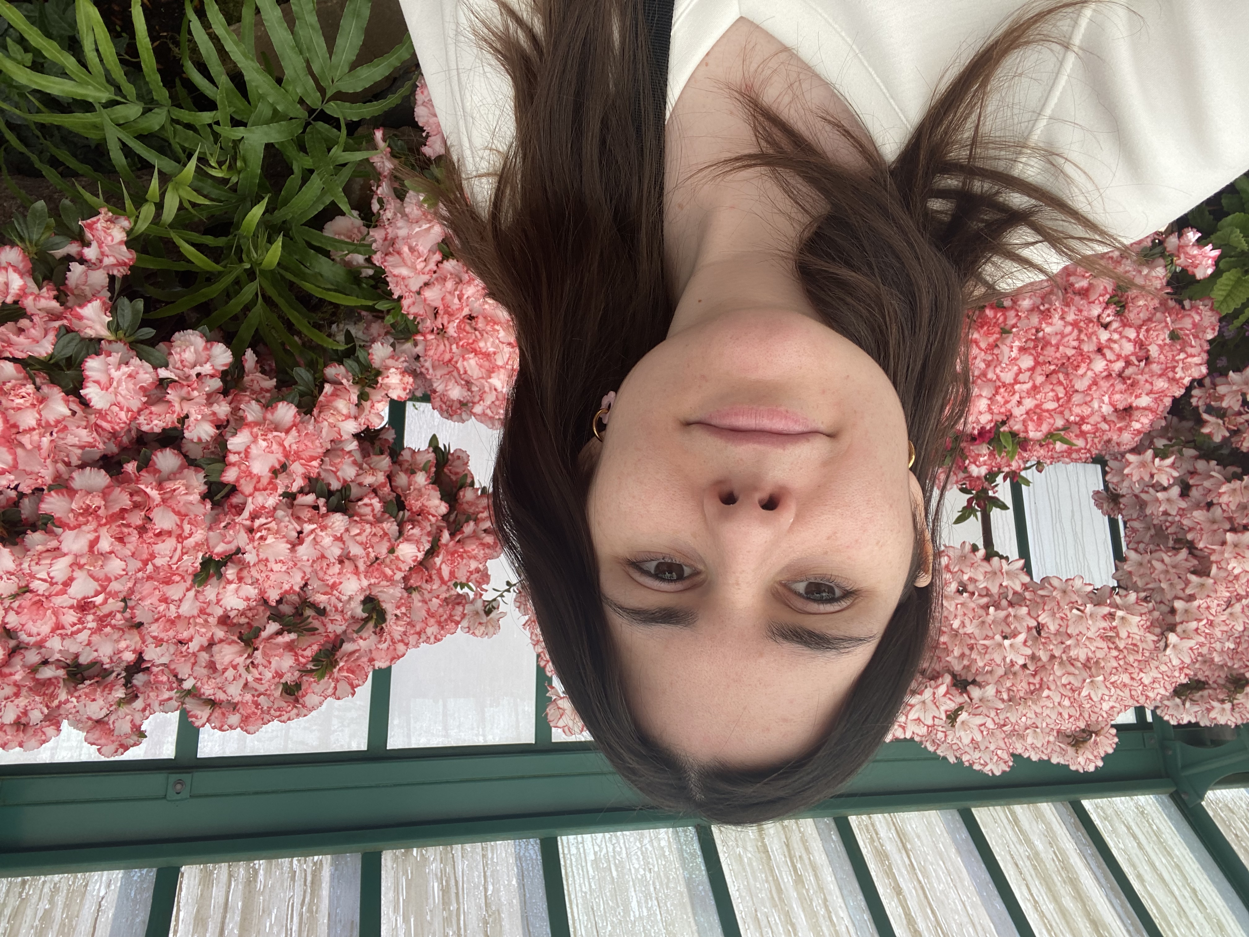 image-8