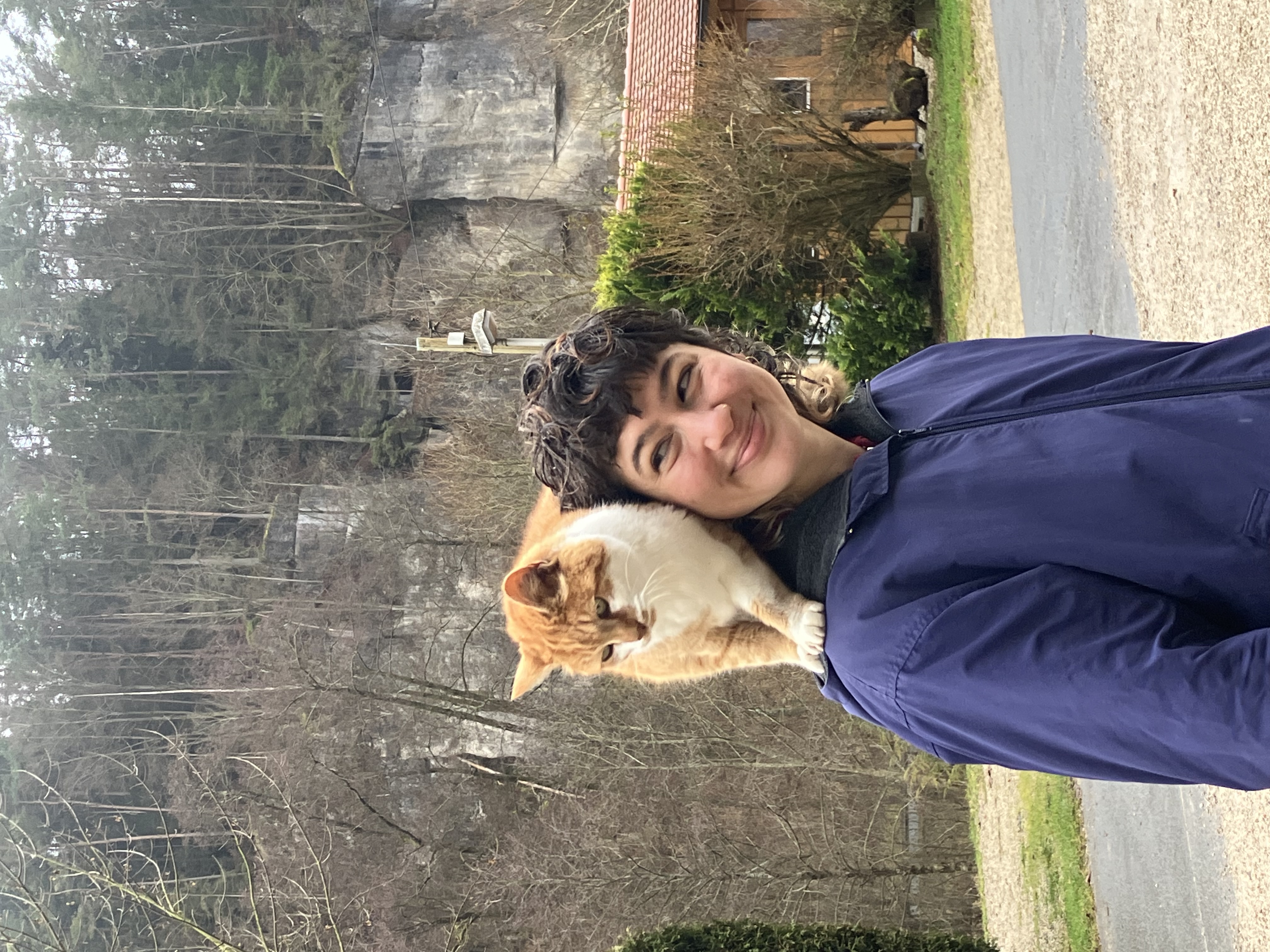 image-8