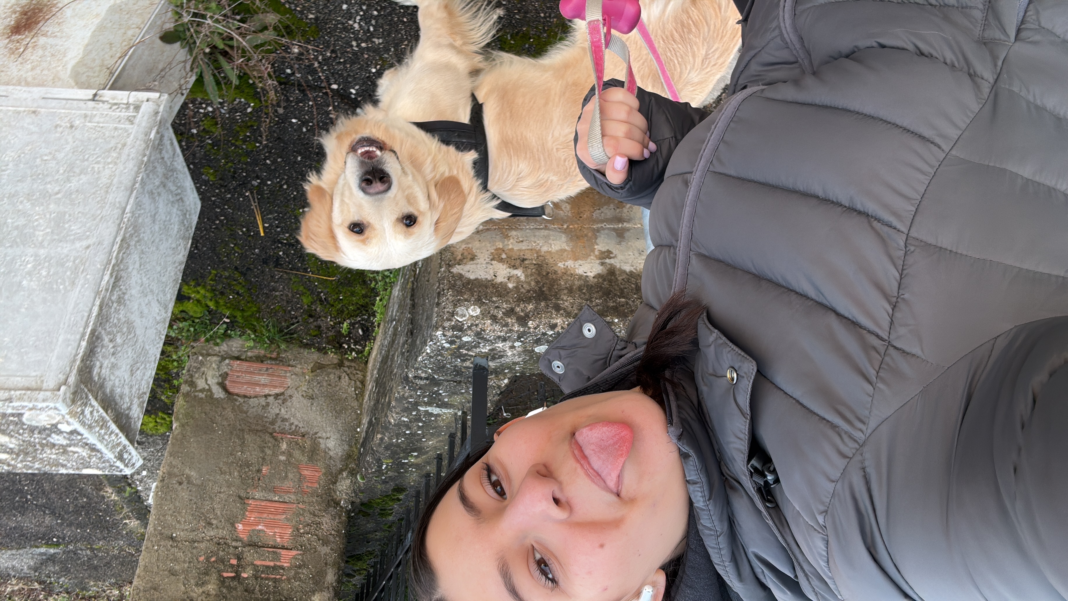 image-0