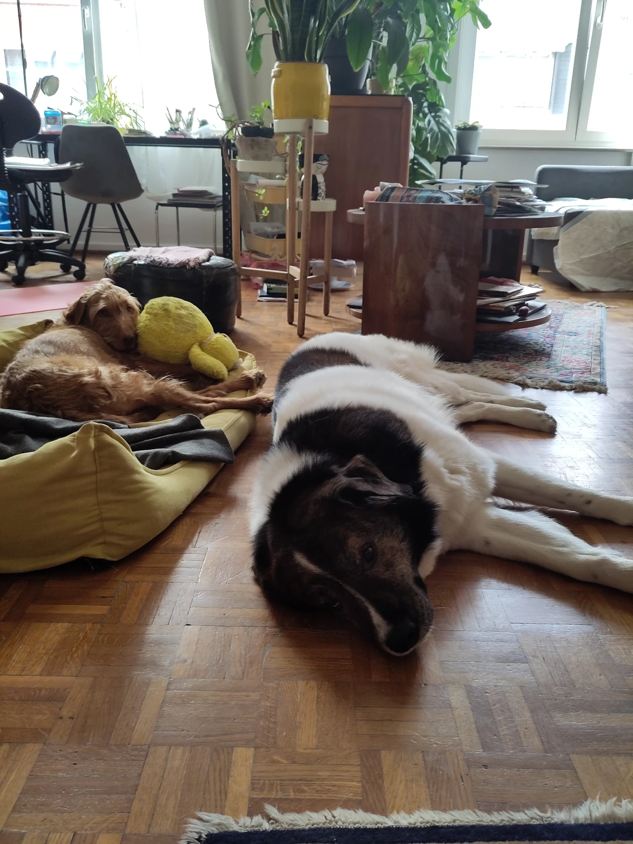 image-9