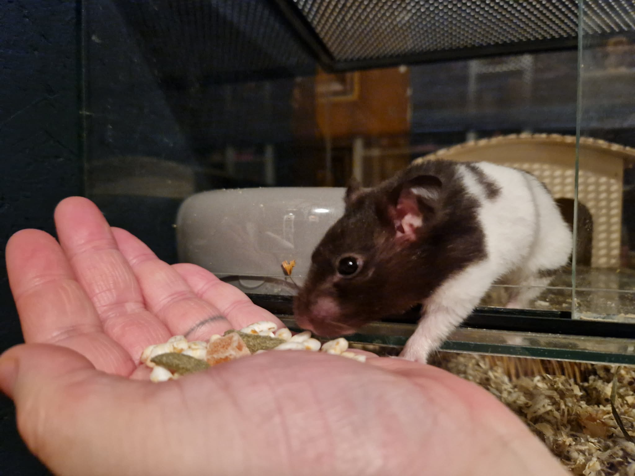 image-8