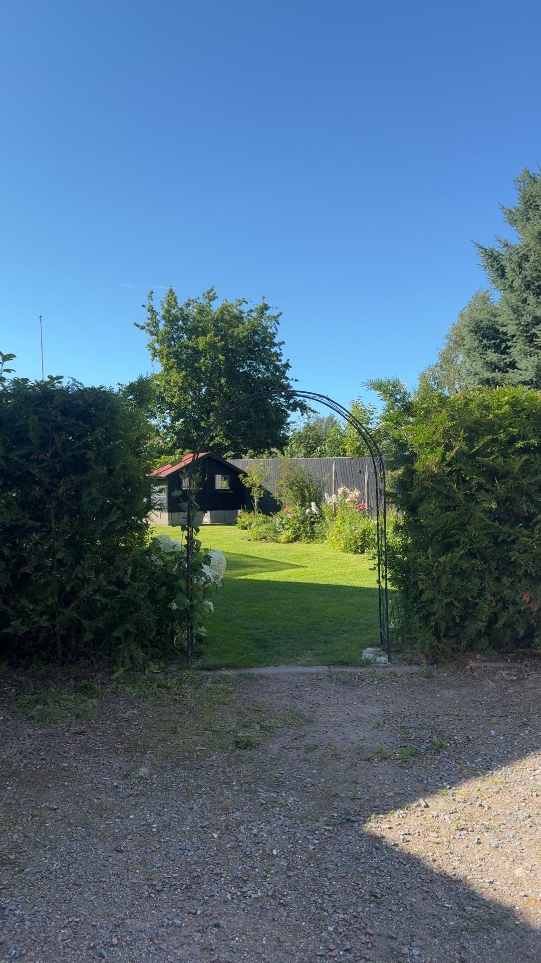 image-20