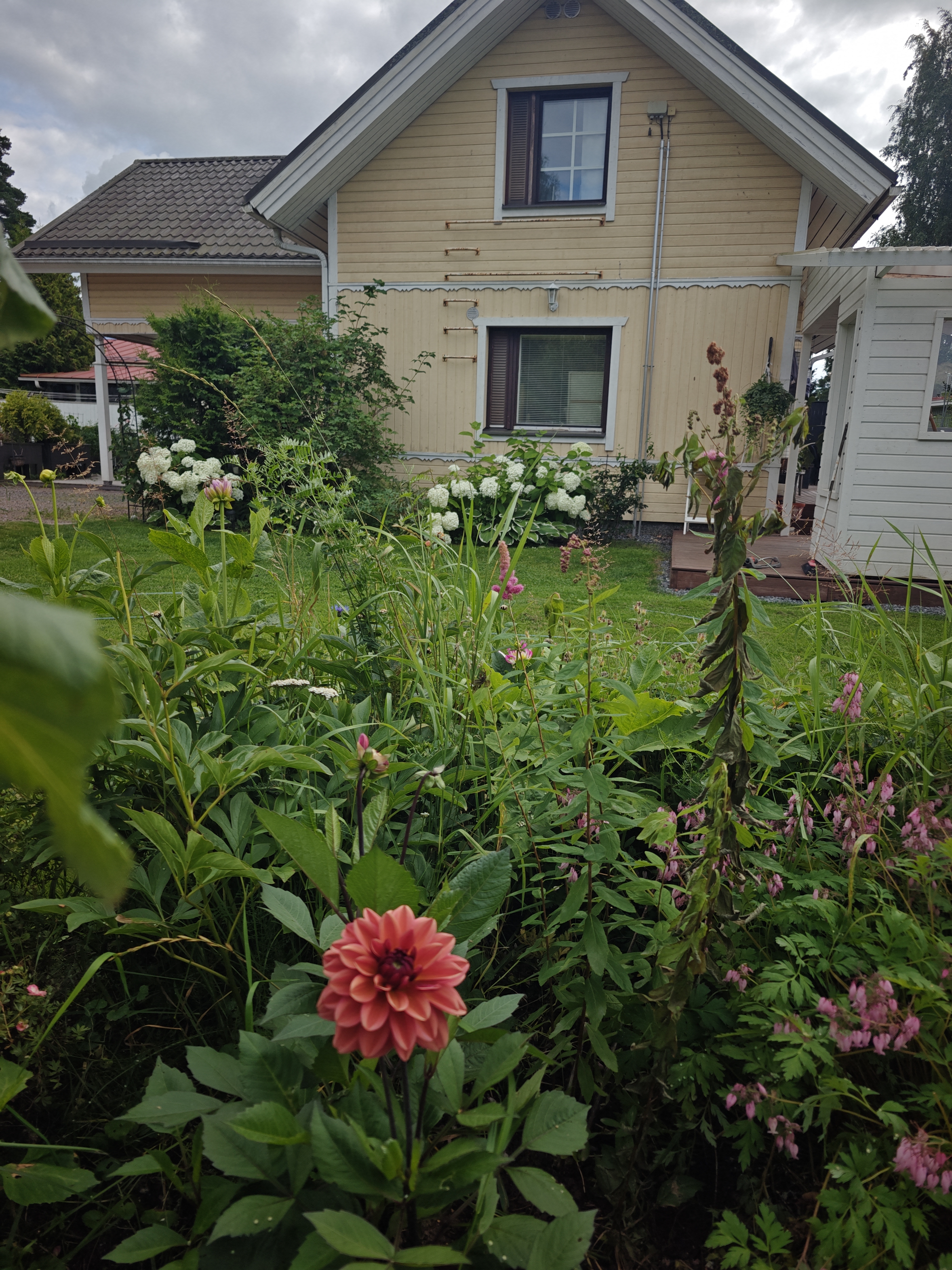 image-23