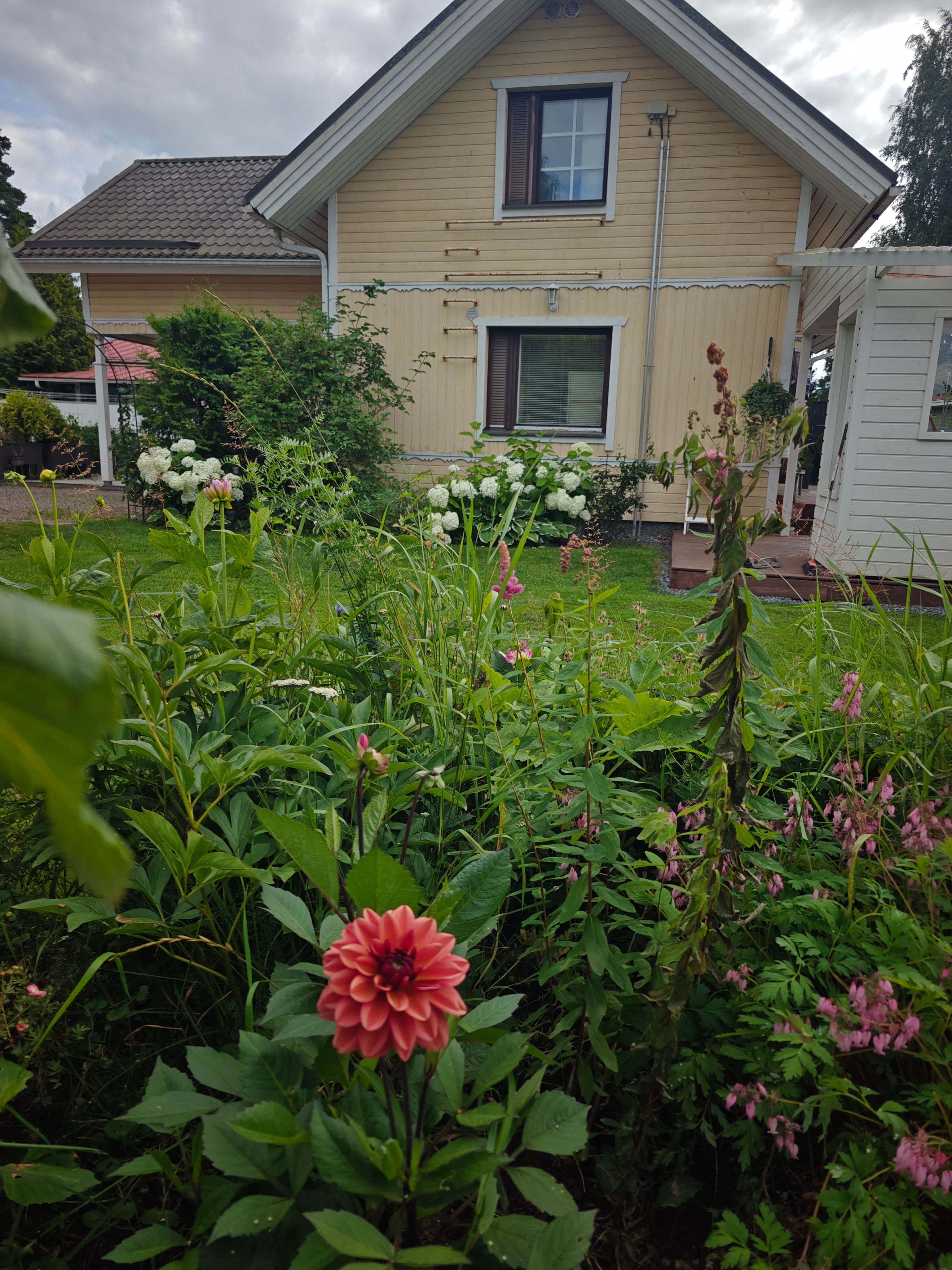 image-23