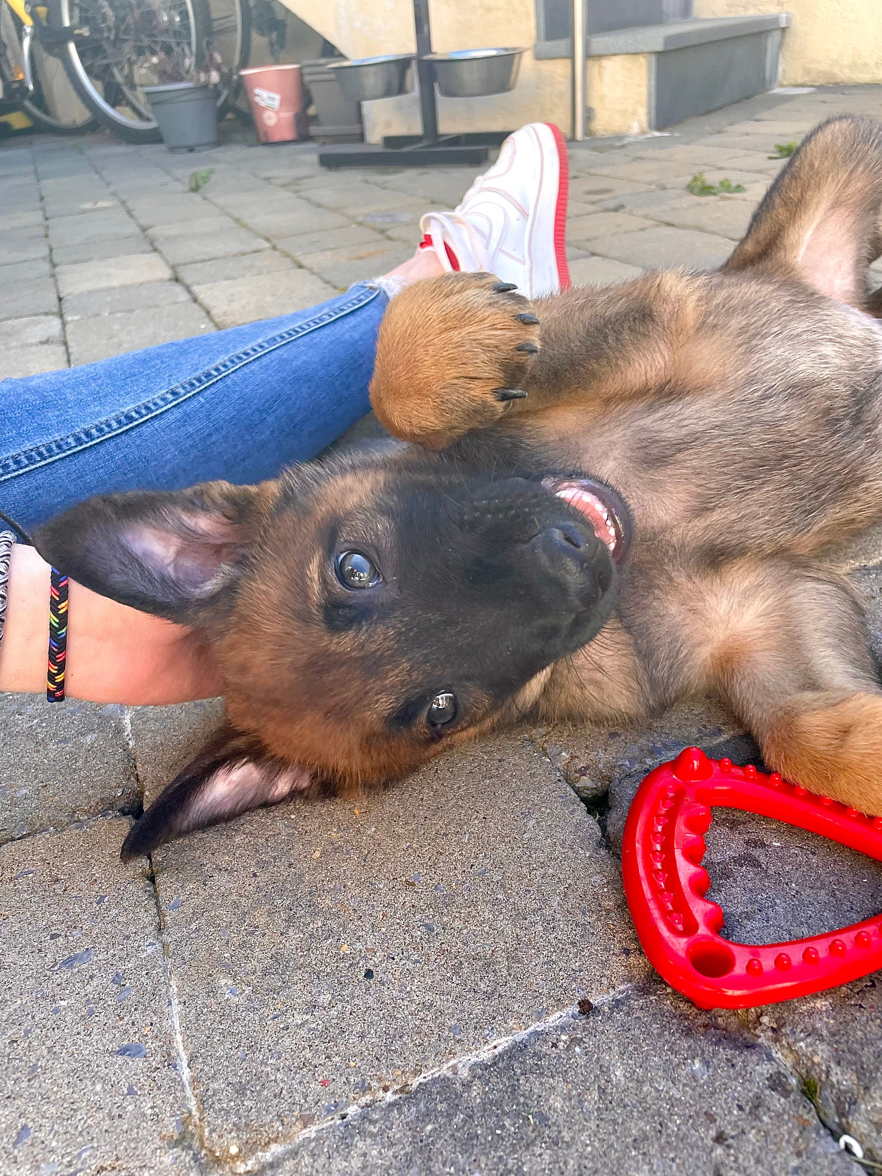 image-4